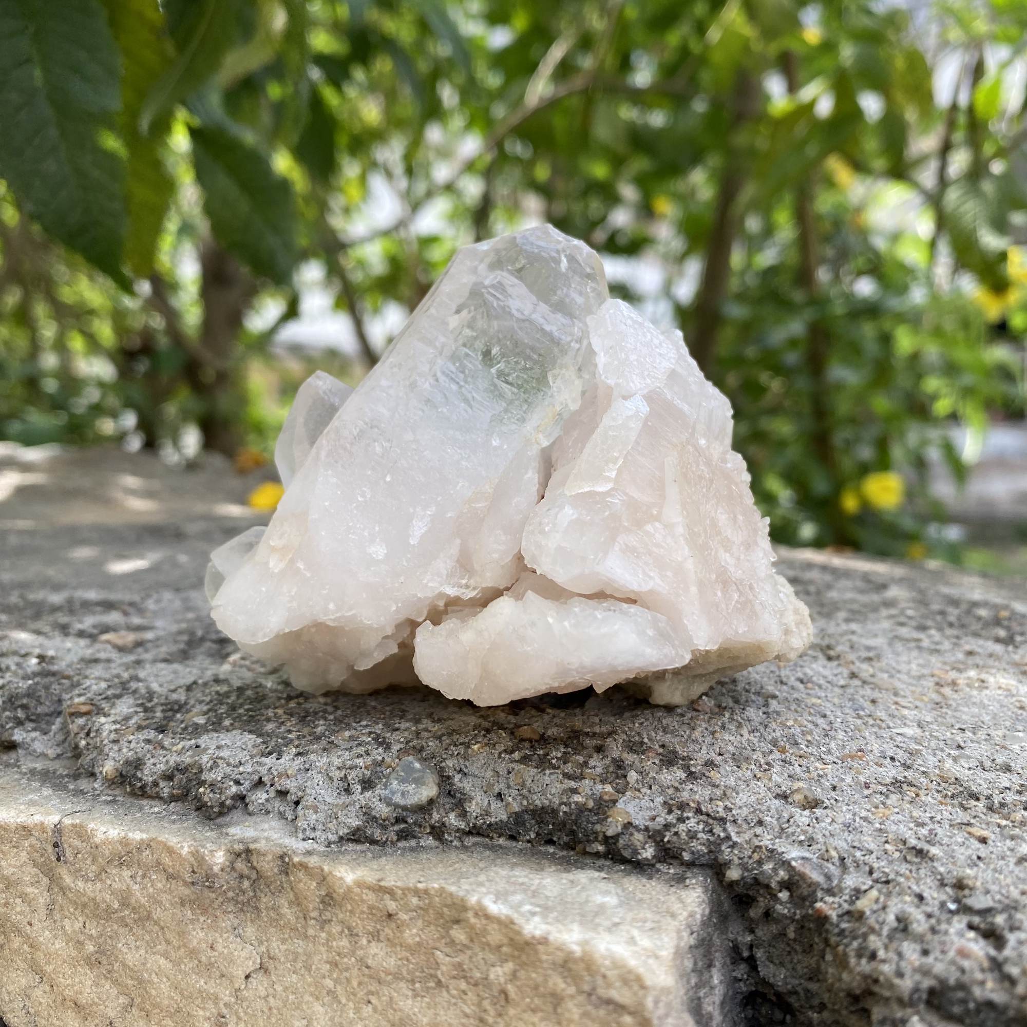 Raw Pink Quartz Himalayan Natural Cluster Collector Display Specimen