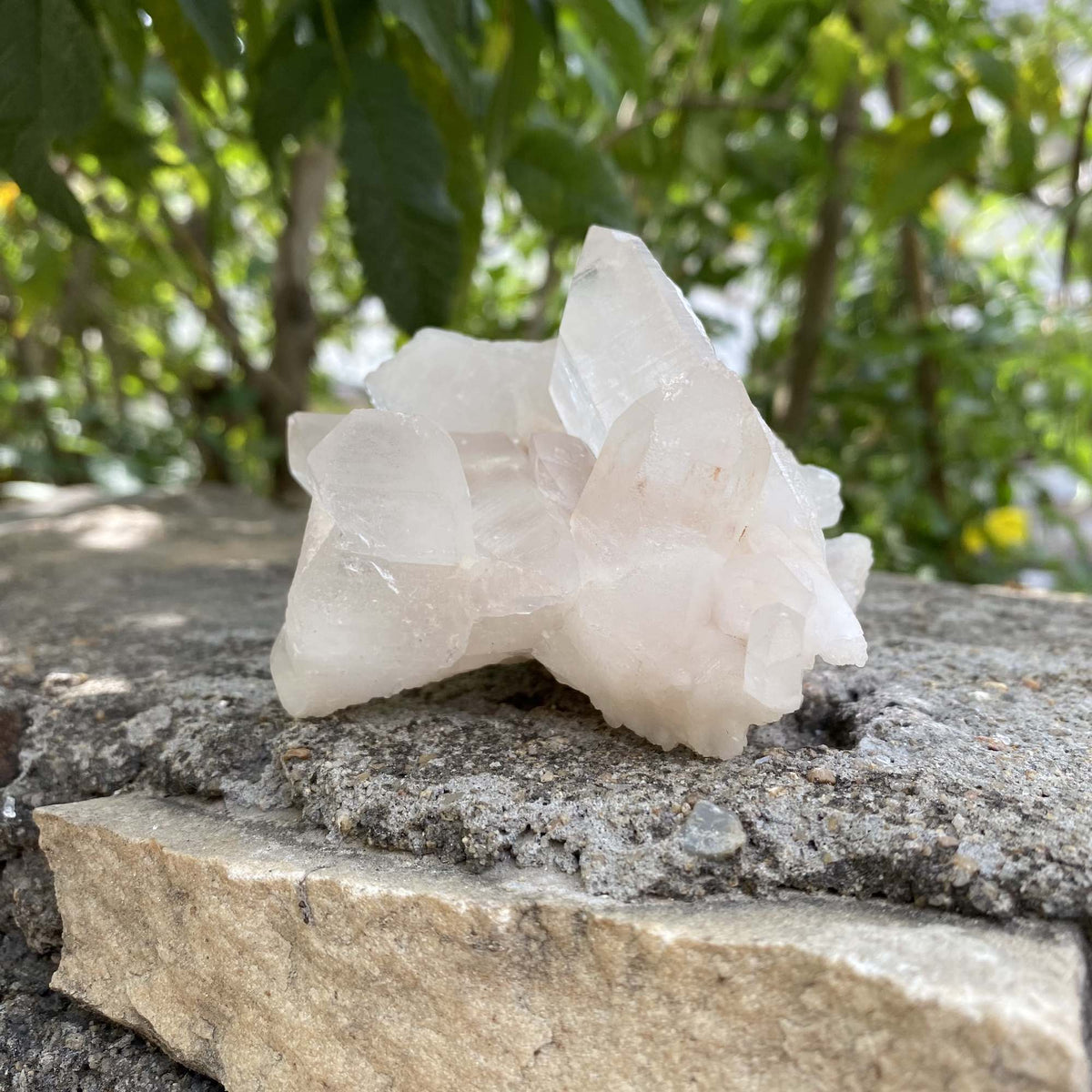 Raw Pink Quartz Himalayan Natural Cluster Collector Display Specimen