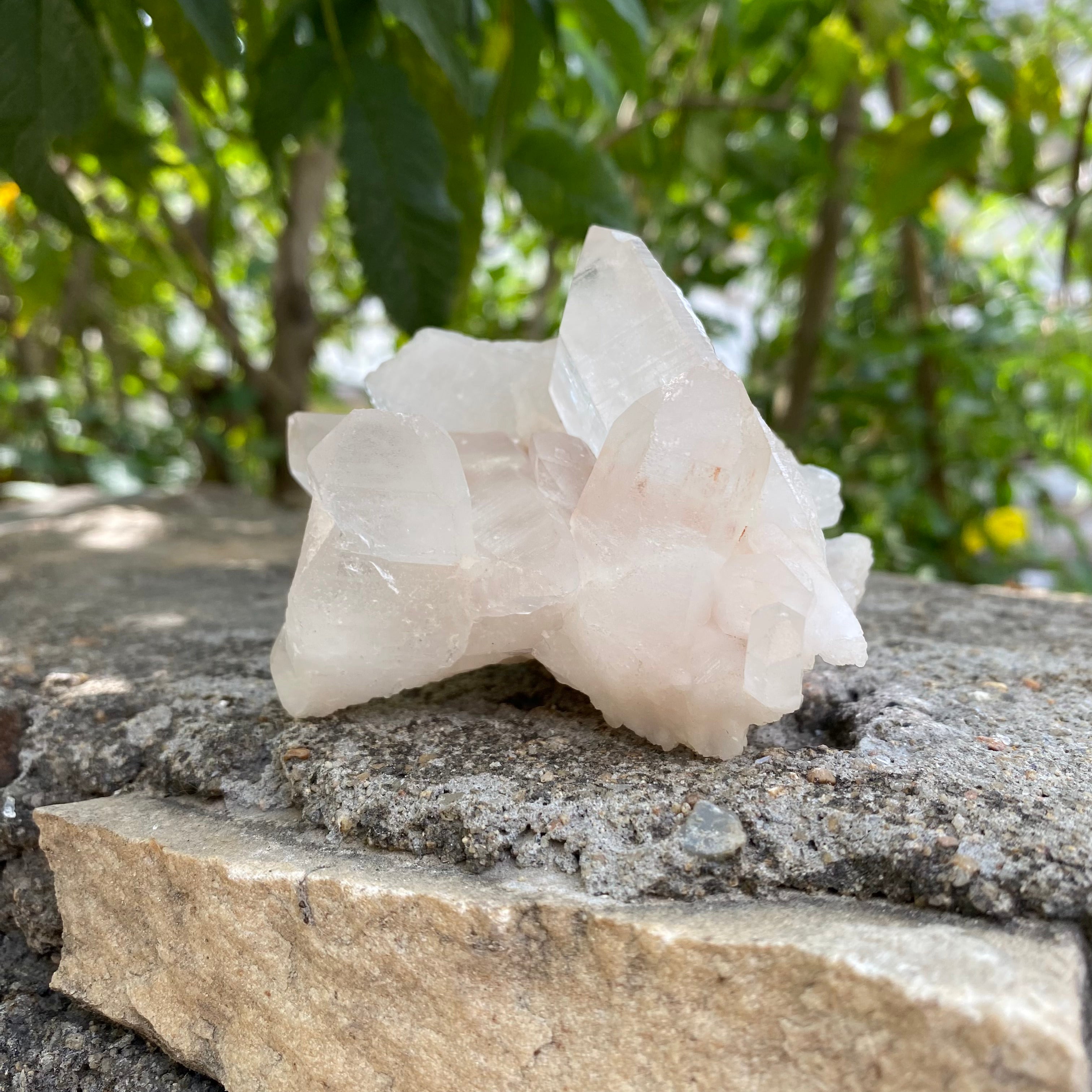 Pink Authentic Himalayan Quartz Crystal Cluster Raw Healing Collector Gift