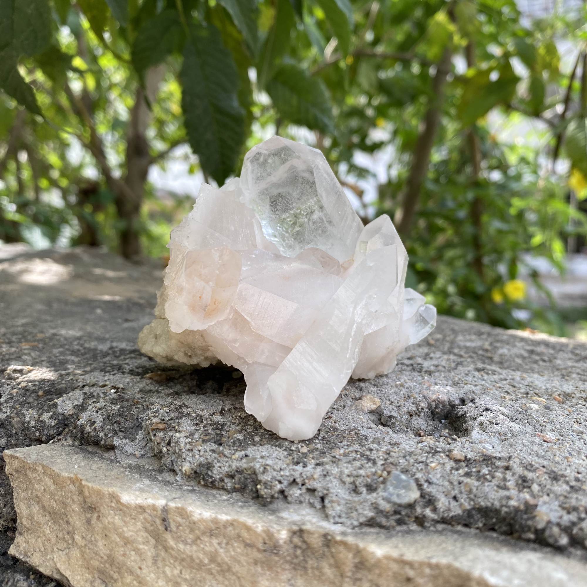 Raw Pink Quartz Himalayan Natural Cluster Collector Display Specimen