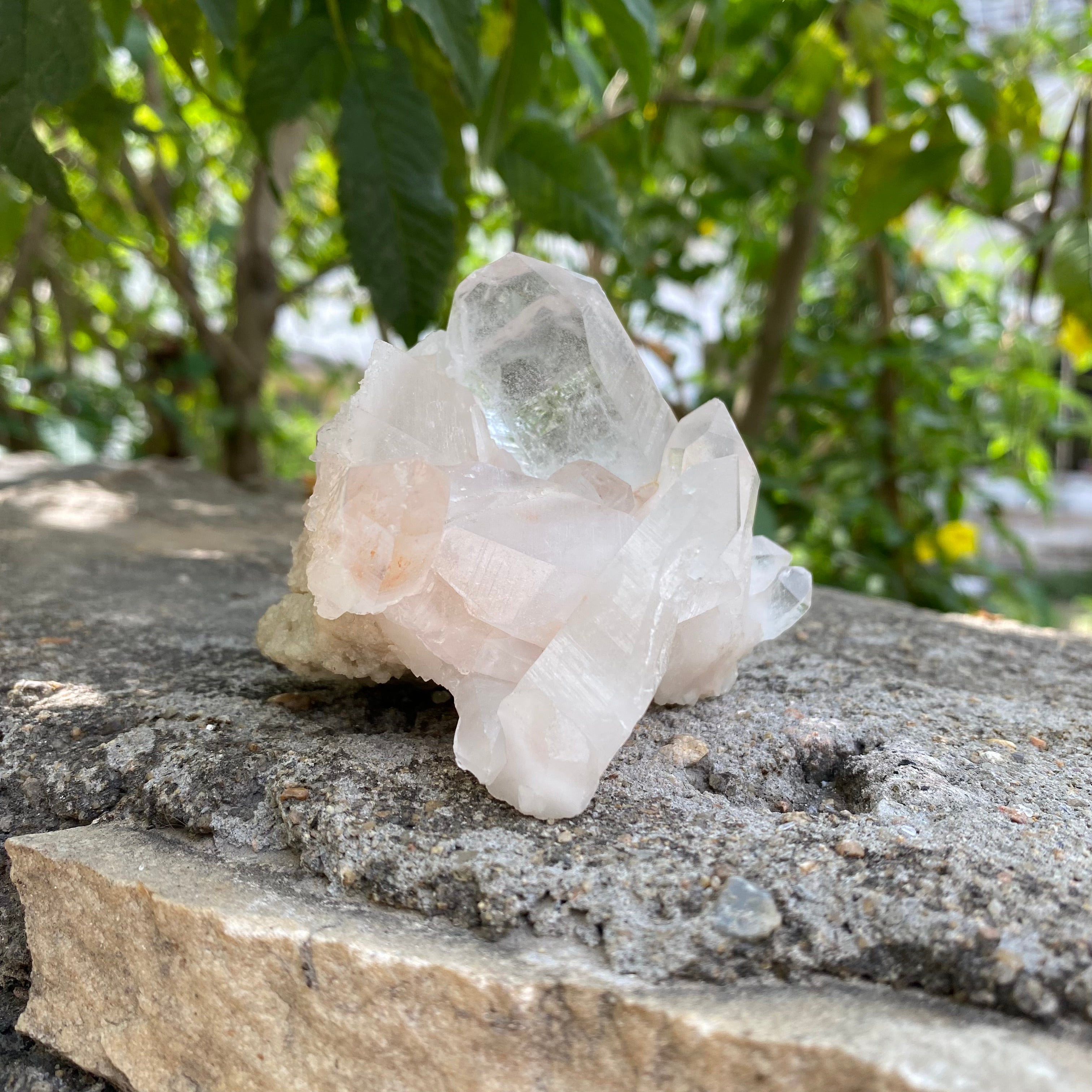 Pink Authentic Himalayan Quartz Crystal Cluster Raw Healing Collector Gift