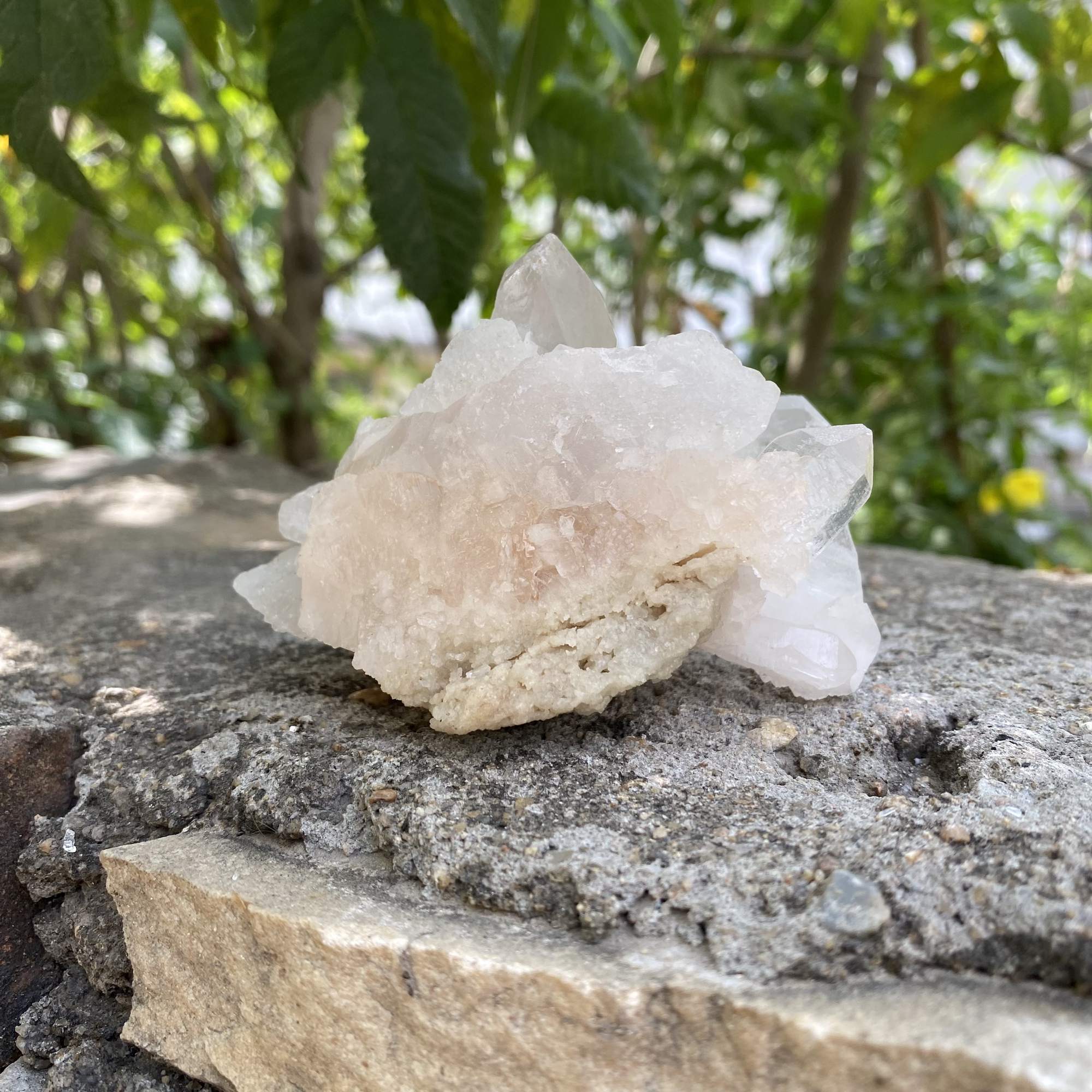 Raw Pink Quartz Himalayan Natural Cluster Collector Display Specimen