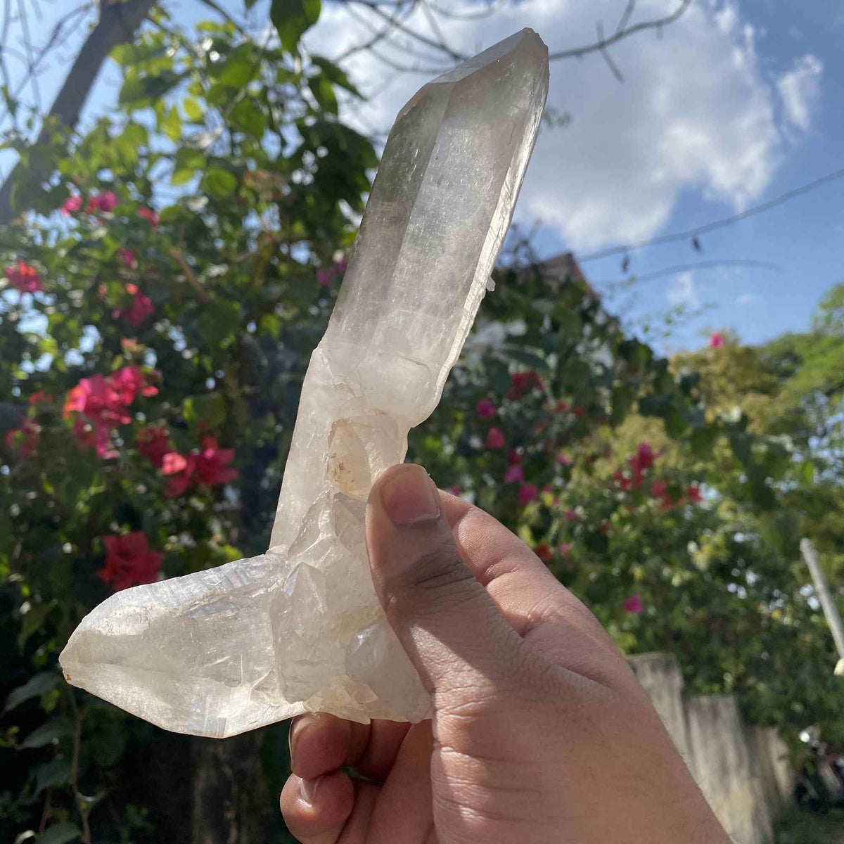 White Himalayan Quartz crystal cluster from Himalya Quartz, showcasing natural energy and healing properties with a striking display.