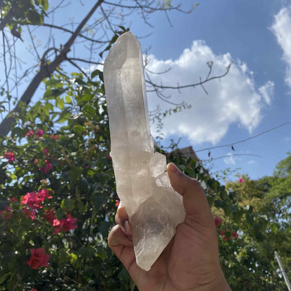 White Himalayan Quartz crystal cluster from Himalya Quartz, natural healing stone with energy-boosting properties, displayed on a neutral background.