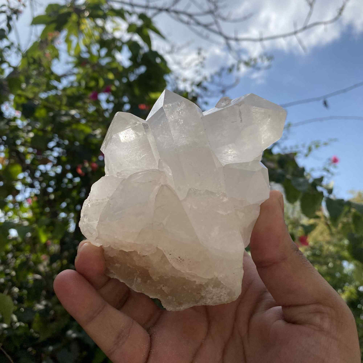 Display White Quartz Himalayan Natural Cluster Collector Raw Specimen