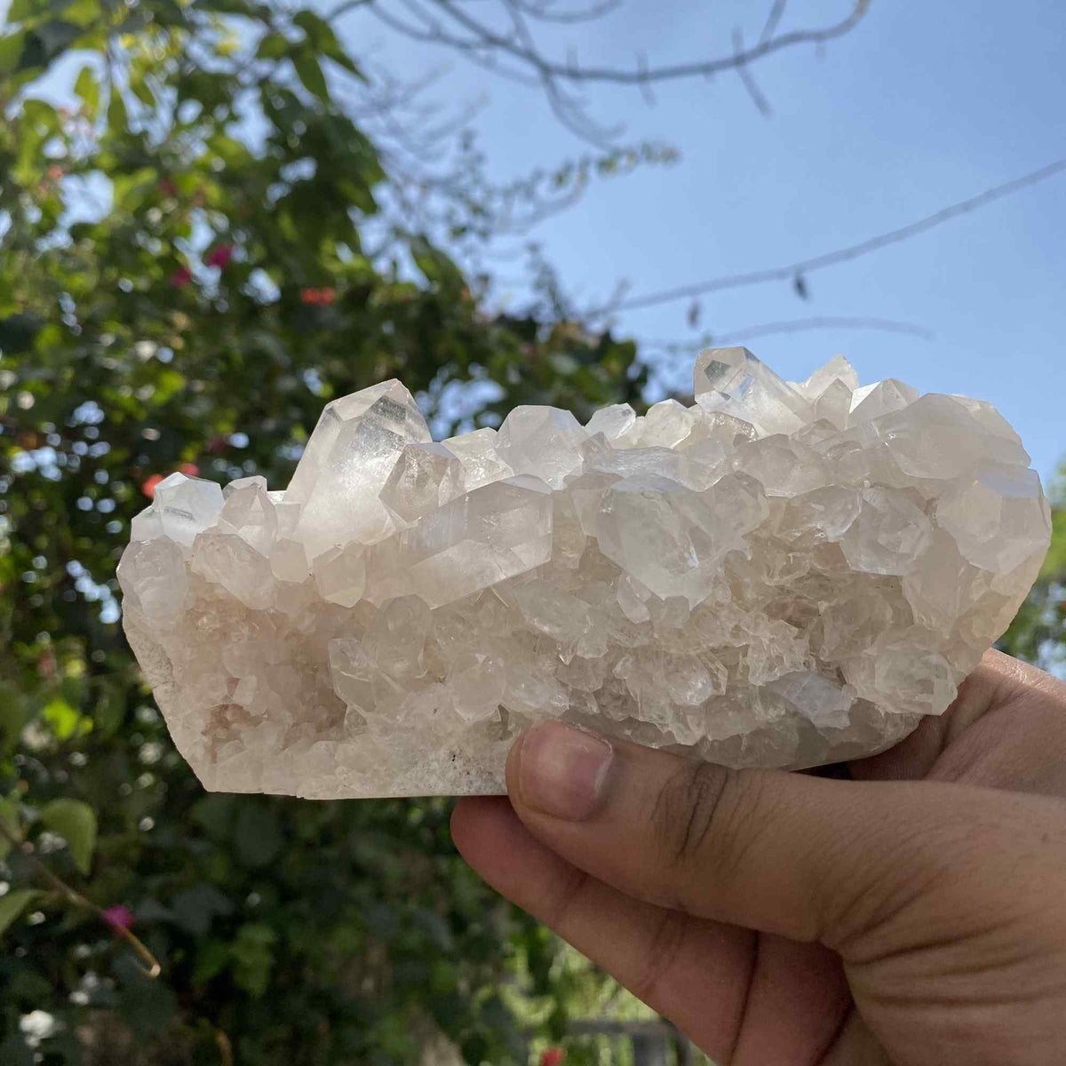 Natural White Himalayan Quartz Mineral Cluster Raw Collector Display