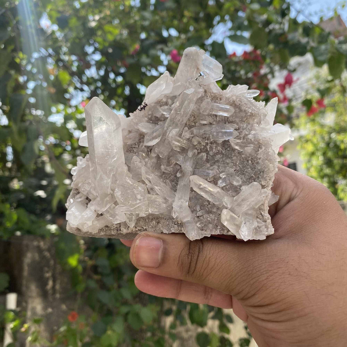 White Himalayan Quartz Raw Cluster Collector Display Natural Specimen
