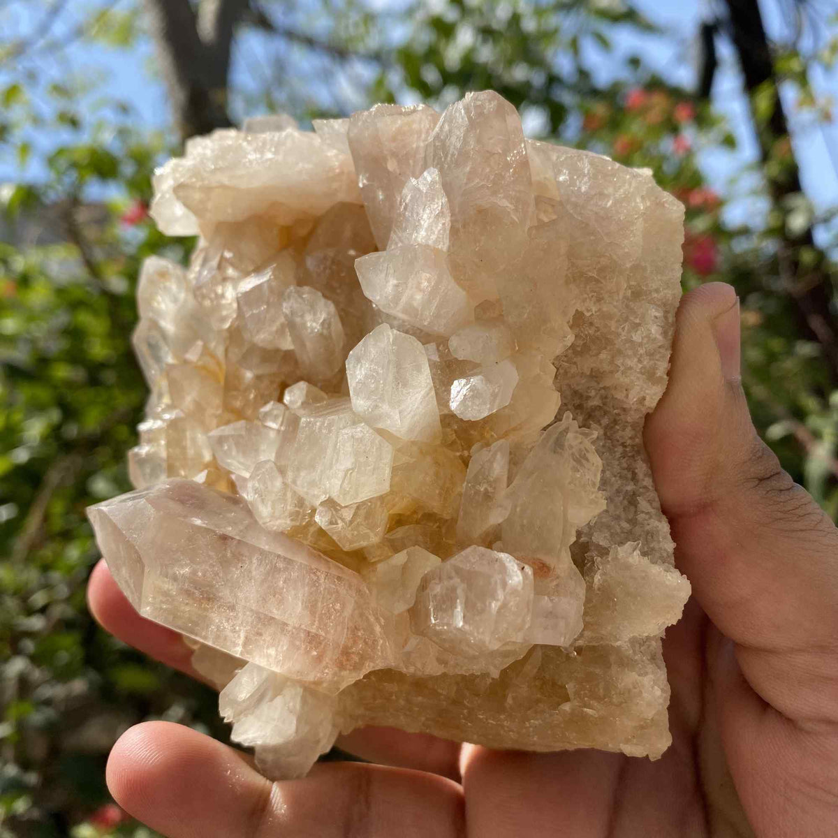 Yellow Quartz Himalayan Cluster 650g Natural Mineral Display Specimen