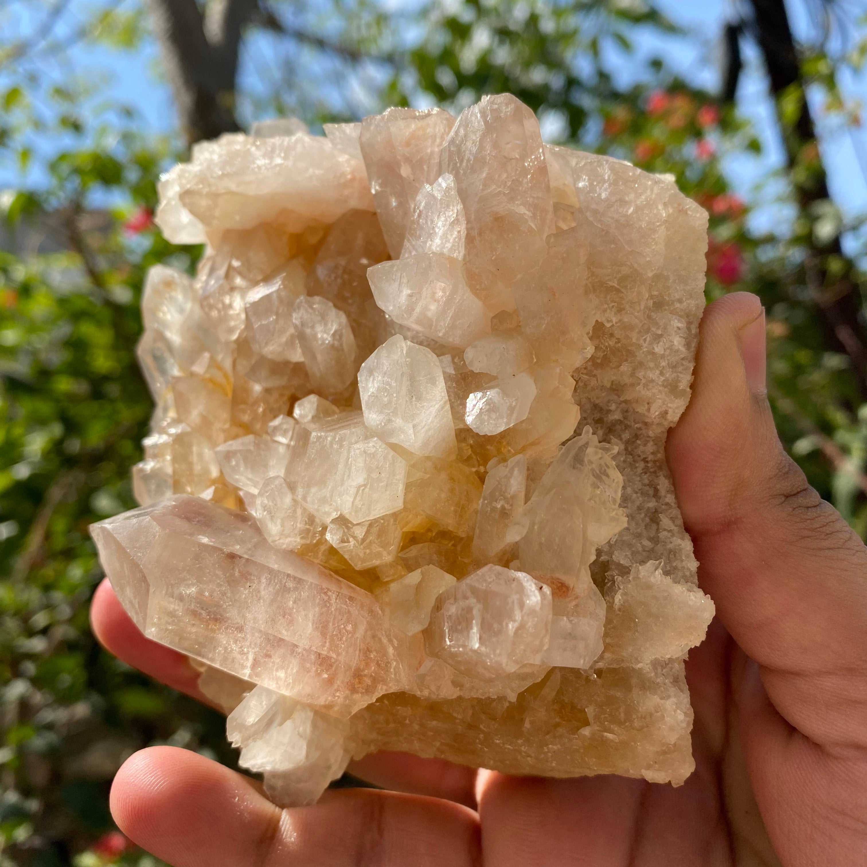 Yellow Samadhi Quartz Raw Himalayan Crystal Cluster Healing Mineral Display Collector