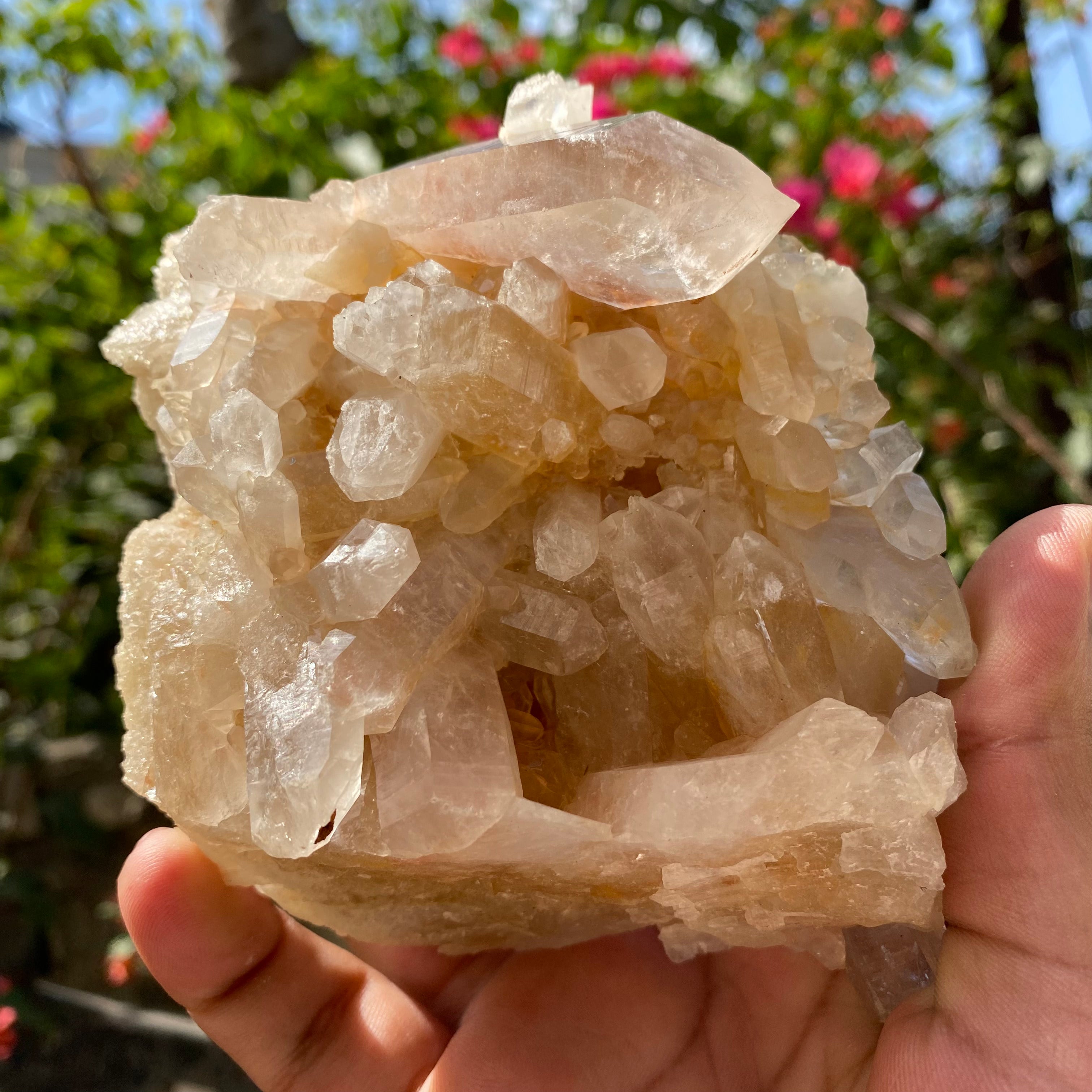 Yellow Samadhi Quartz Raw Himalayan Crystal Cluster Healing Mineral Display Collector