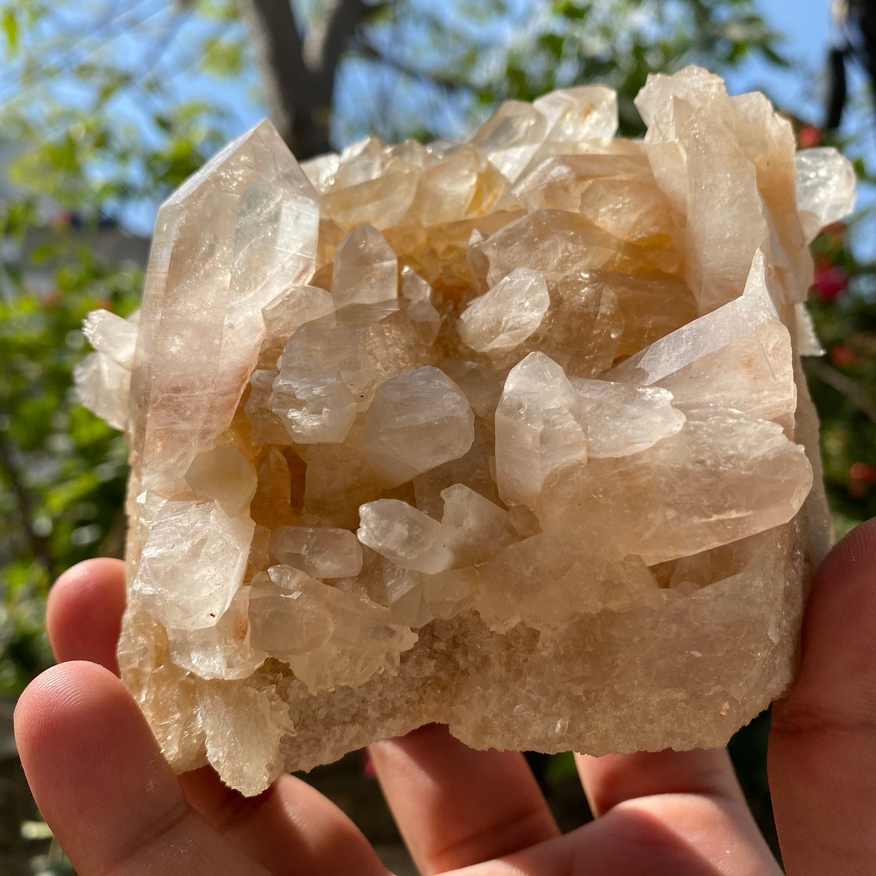 Yellow Samadhi Quartz Raw Himalayan Crystal Cluster Healing Mineral Display Collector