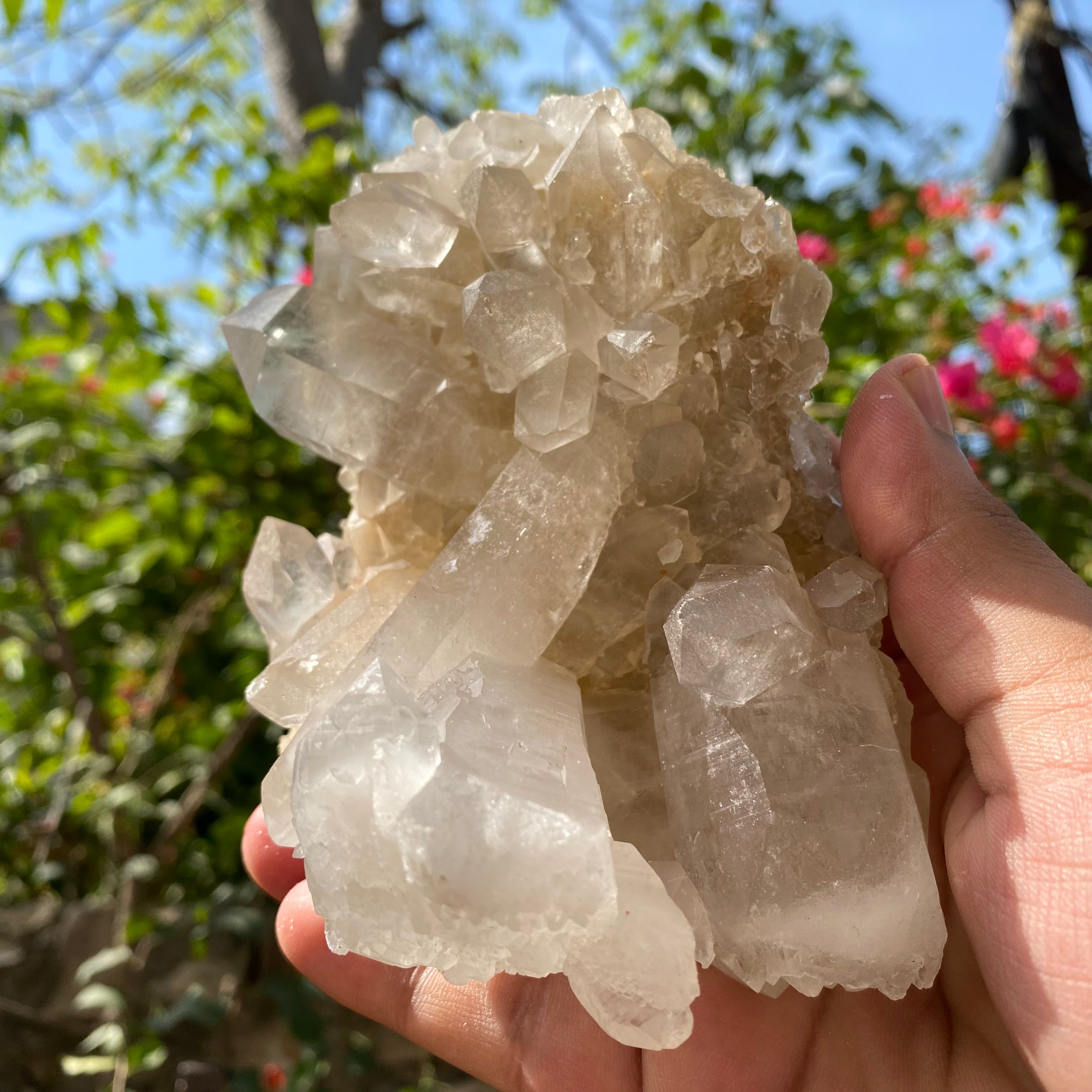 Golden Healer Quartz Cluster: 640gm Manikaran Healing Crystal