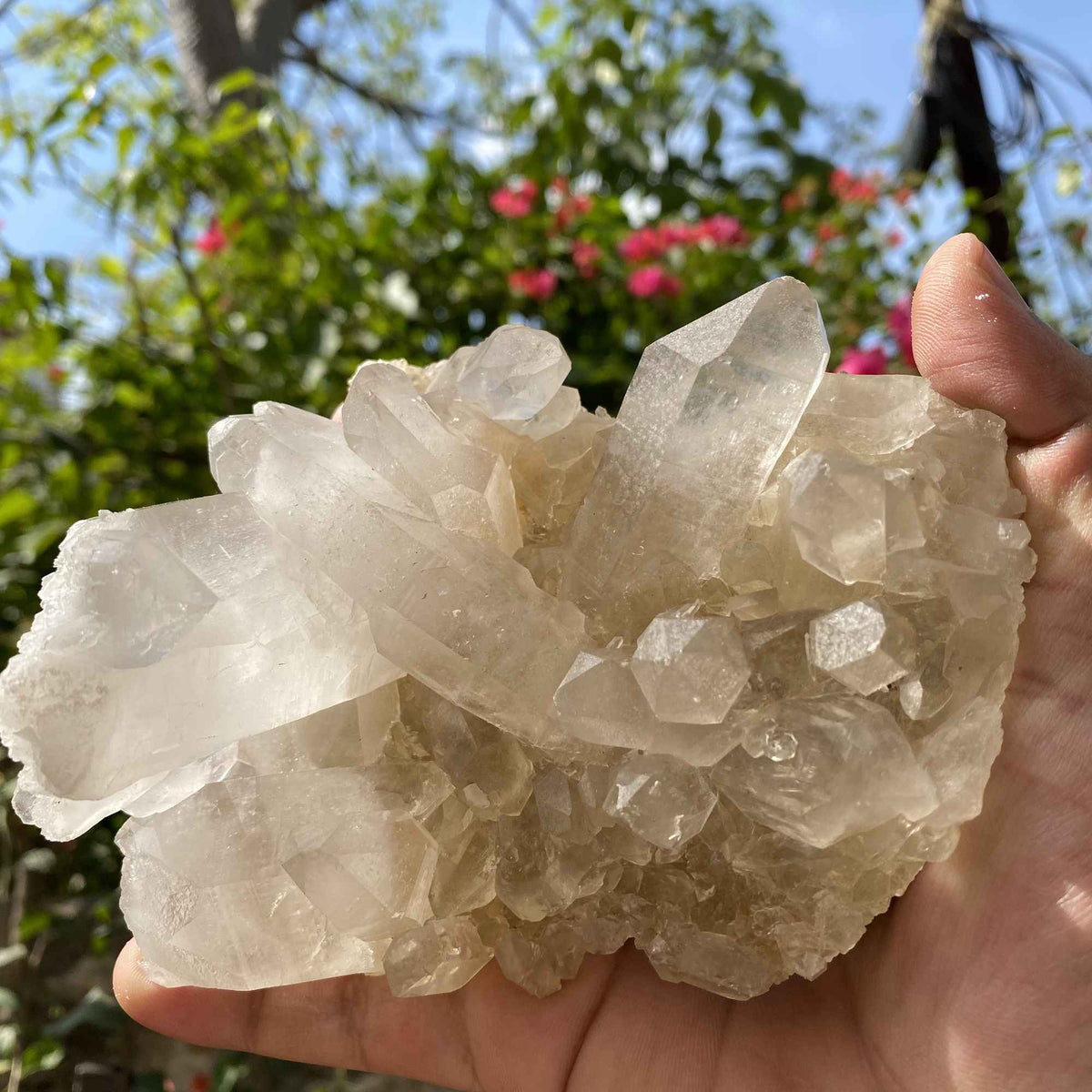 Raw Yellow Quartz Cluster 640g Natural Himalayan Collector Specimen