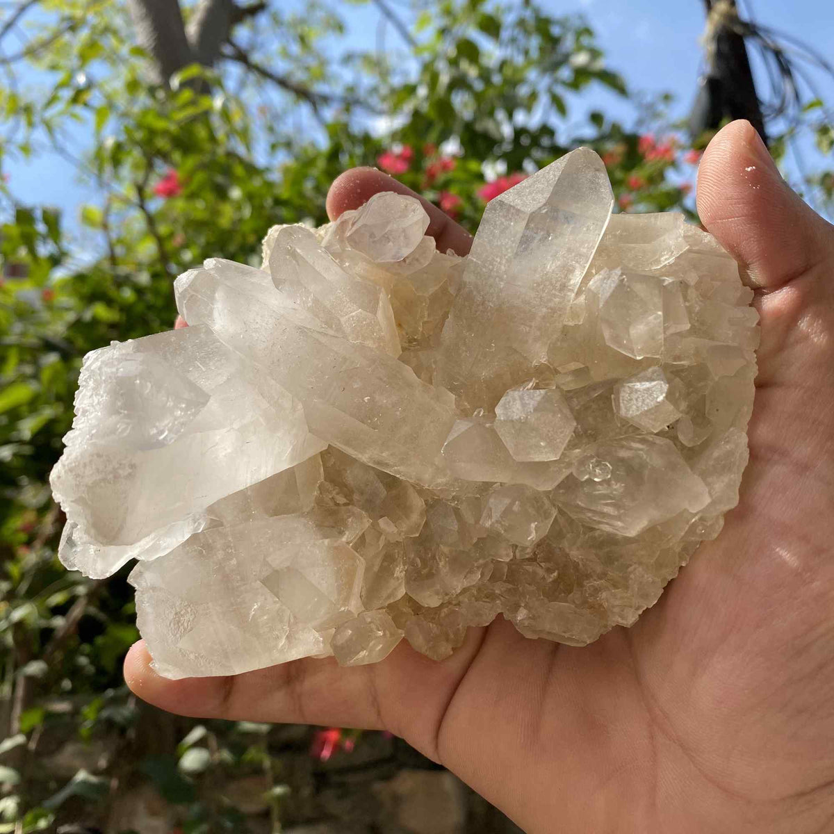 Raw Yellow Quartz Cluster 640g Natural Himalayan Collector Specimen