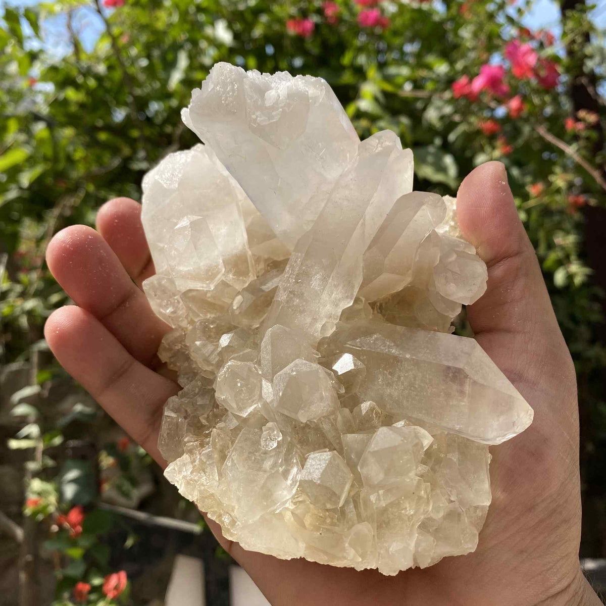 Raw Yellow Quartz Cluster 640g Natural Himalayan Collector Specimen