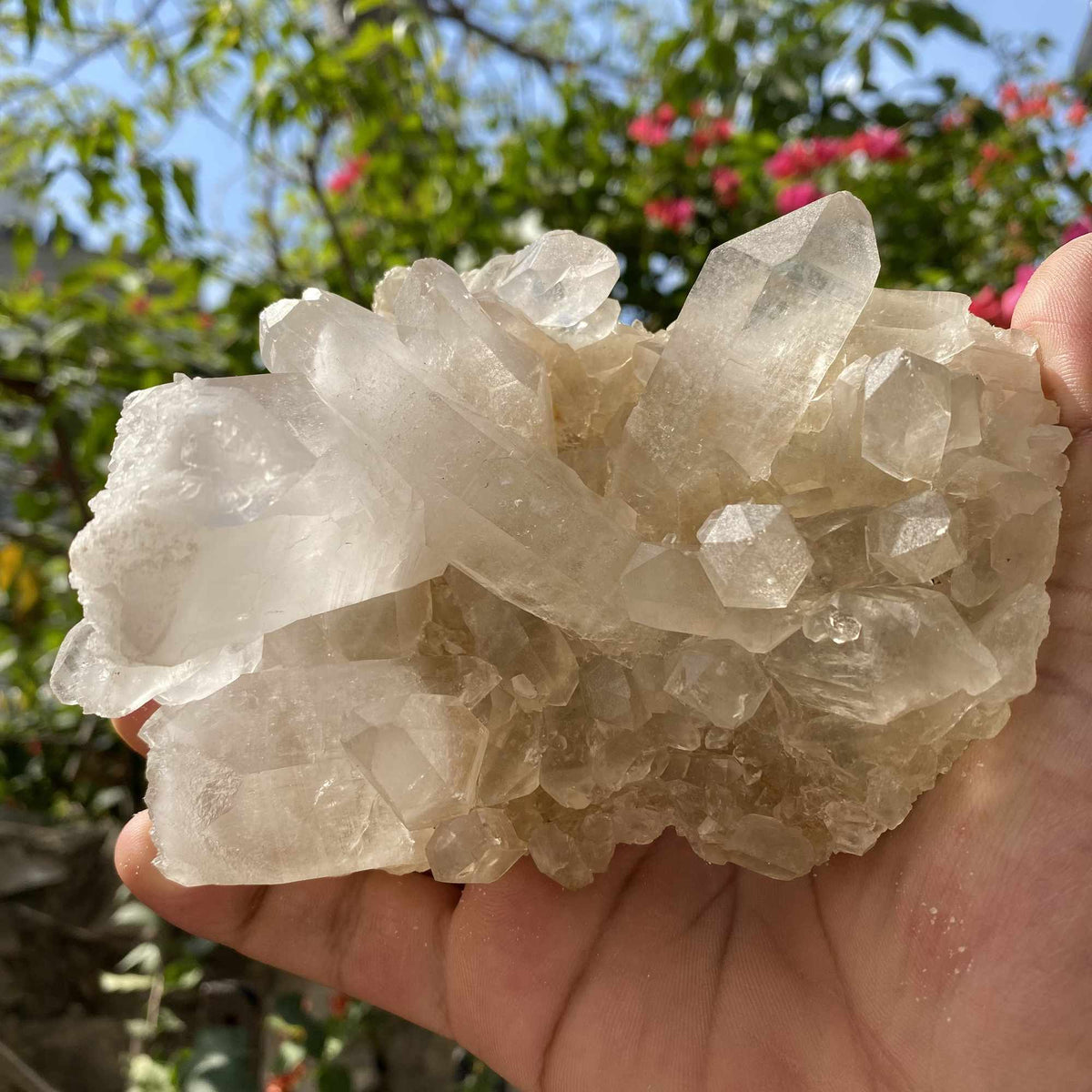 Raw Yellow Quartz Cluster 640g Natural Himalayan Collector Specimen
