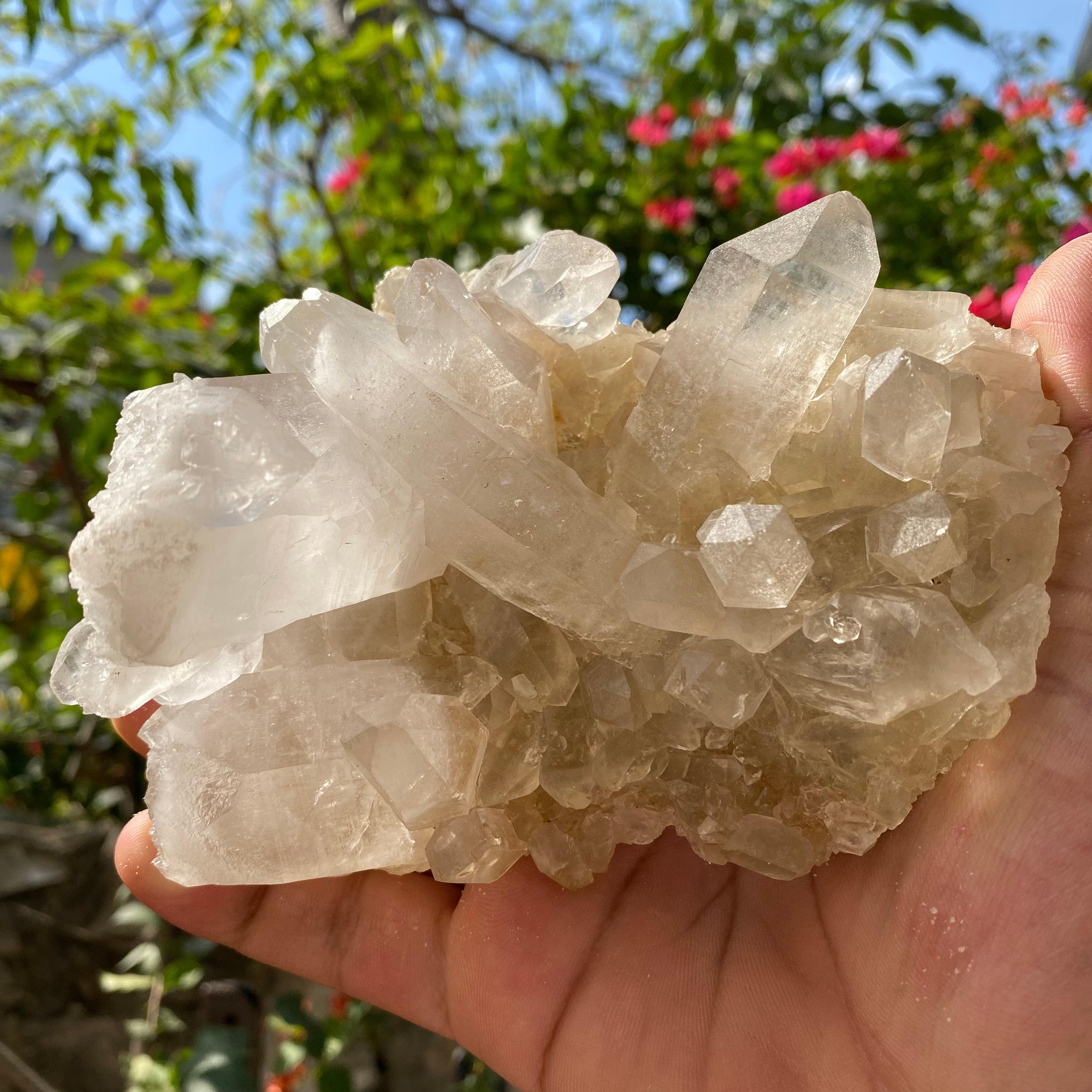Golden Healer Quartz Cluster: 640gm Manikaran Healing Crystal