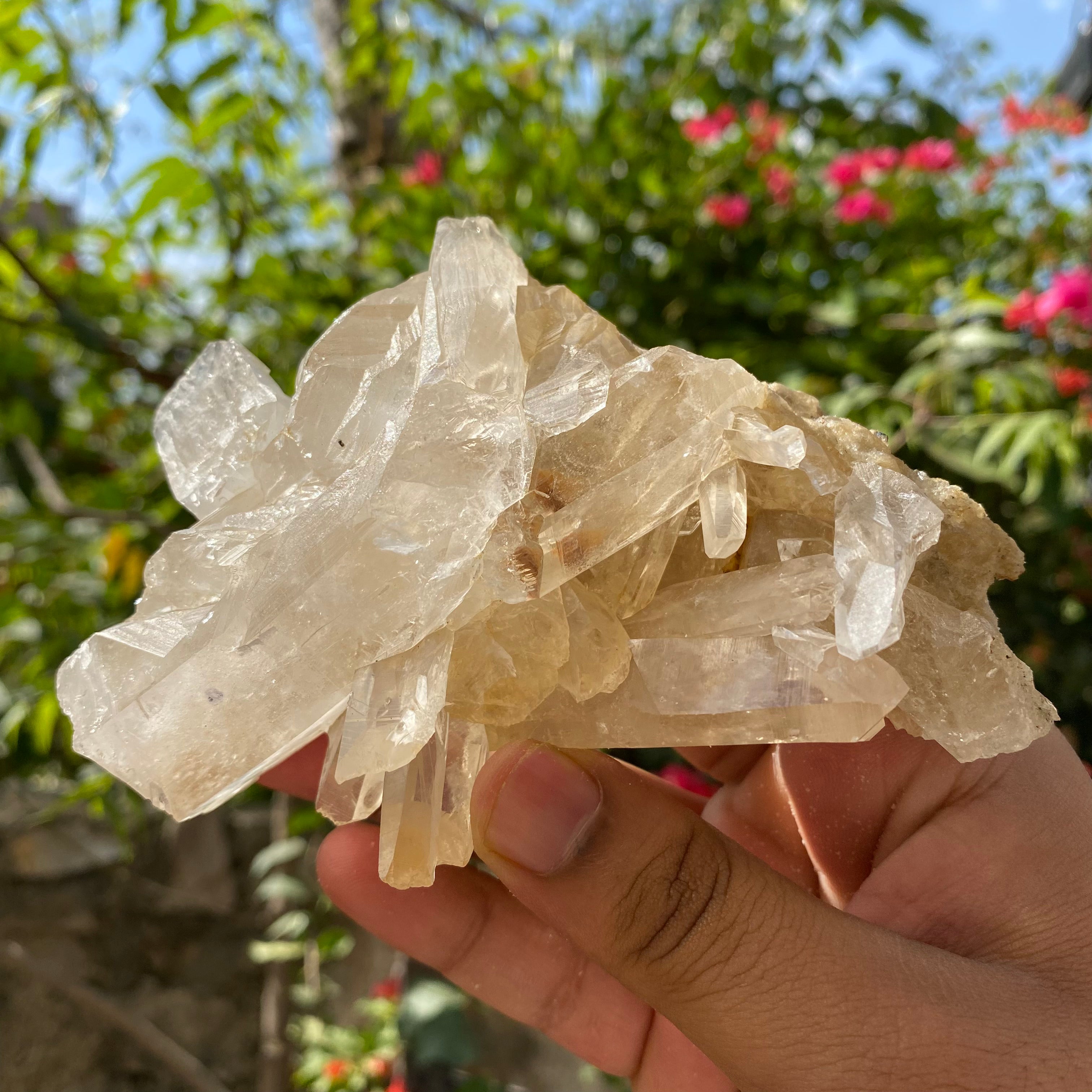 Golden Healer Quartz Crystal: Raw Yellow Mineral Specimen, Home Decor 395gm