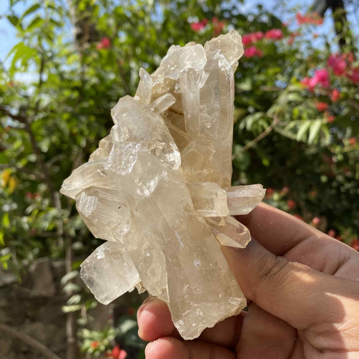 Yellow Himalayan Quartz Cluster 395g Raw Natural Display Specimen