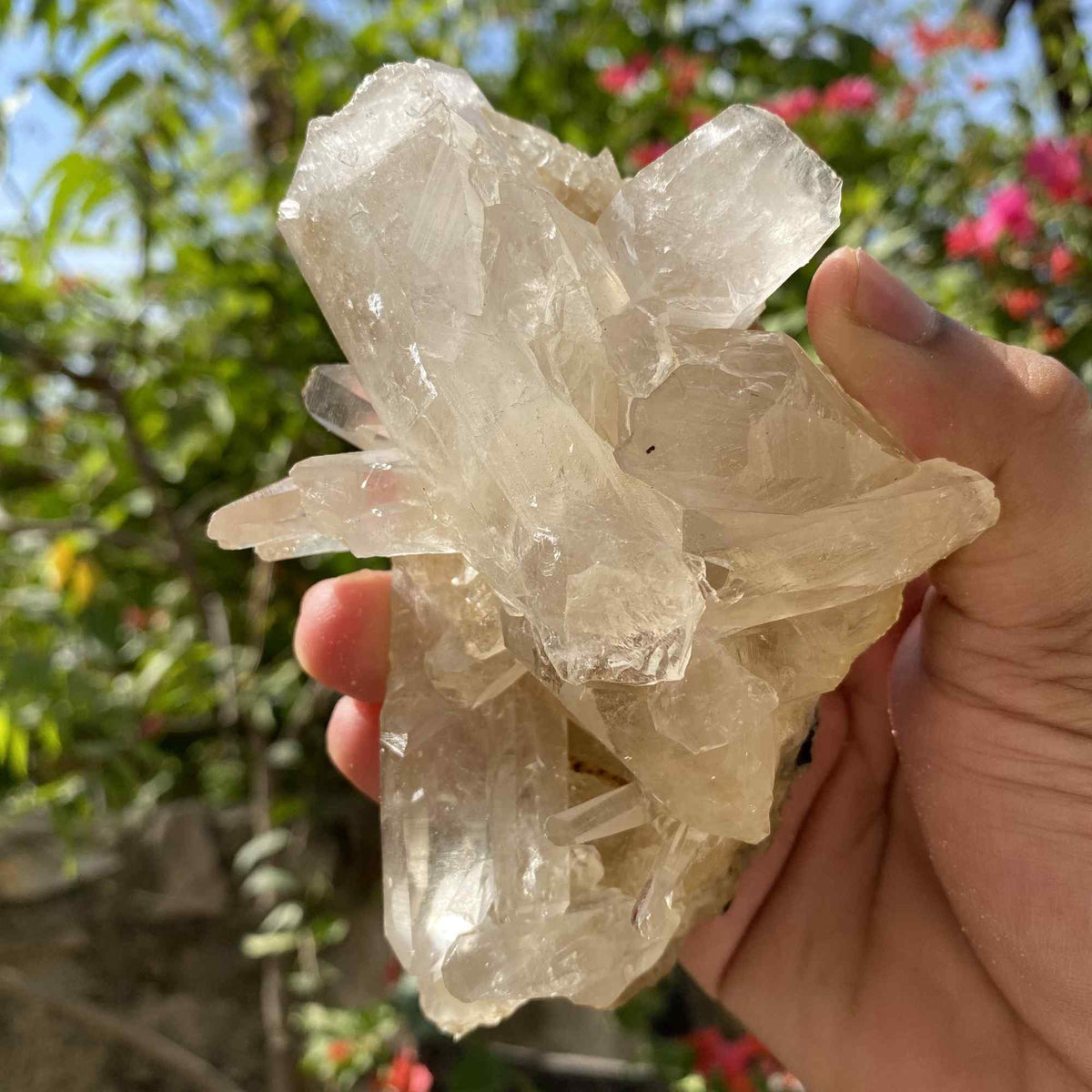 Yellow Himalayan Quartz Cluster 395g Raw Natural Display Specimen