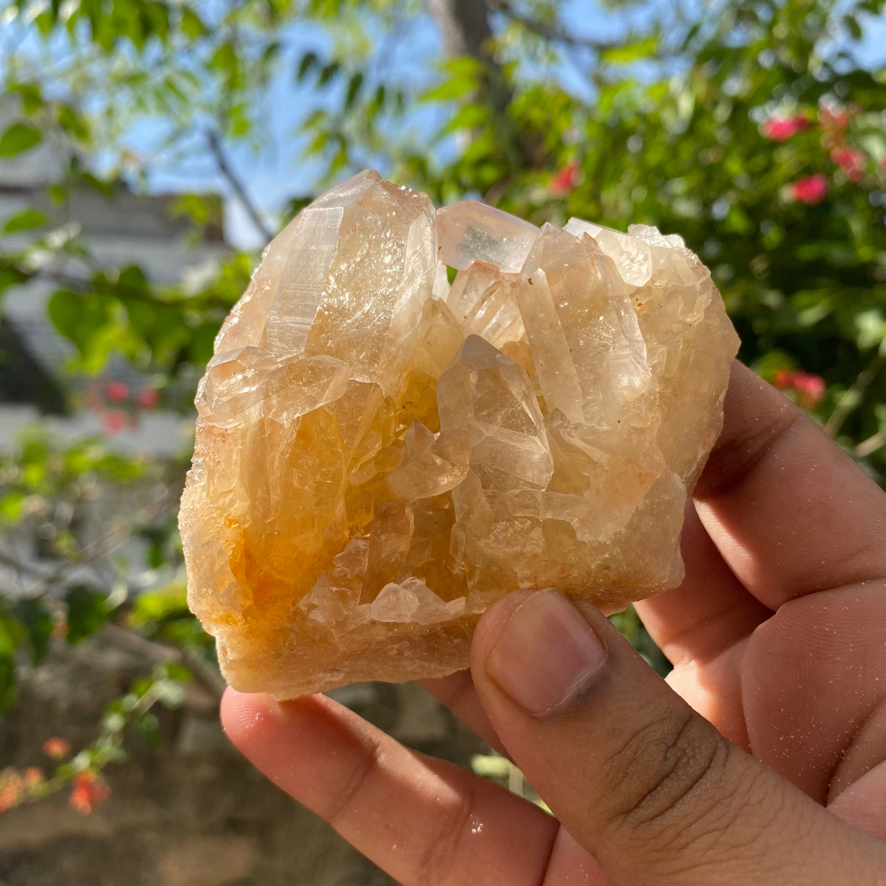 Yellow Himalayan Samadhi Quartz Crystal Raw Cluster Natural Healing Mineral Specimen