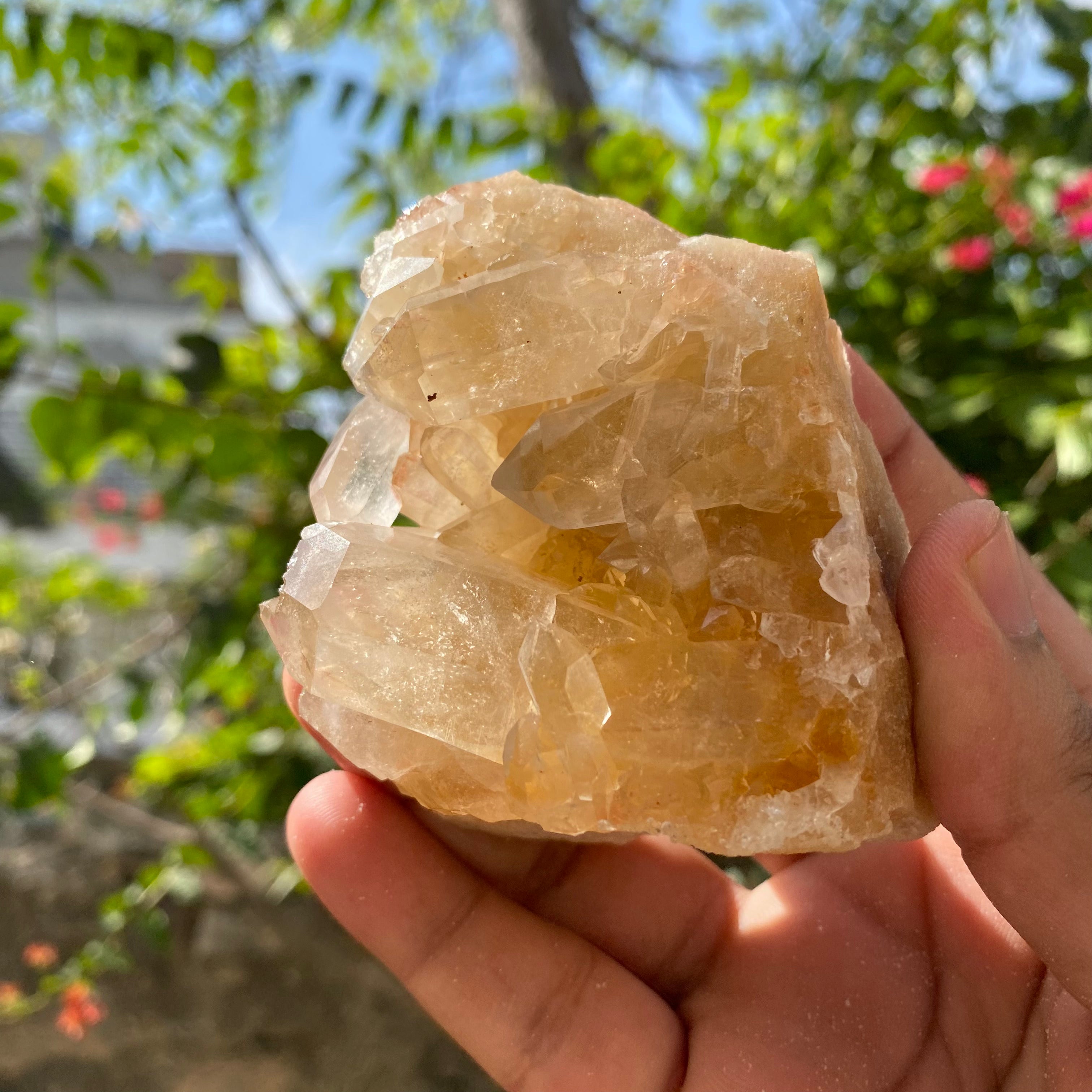 Yellow Himalayan Samadhi Quartz Crystal Raw Cluster Natural Healing Mineral Specimen