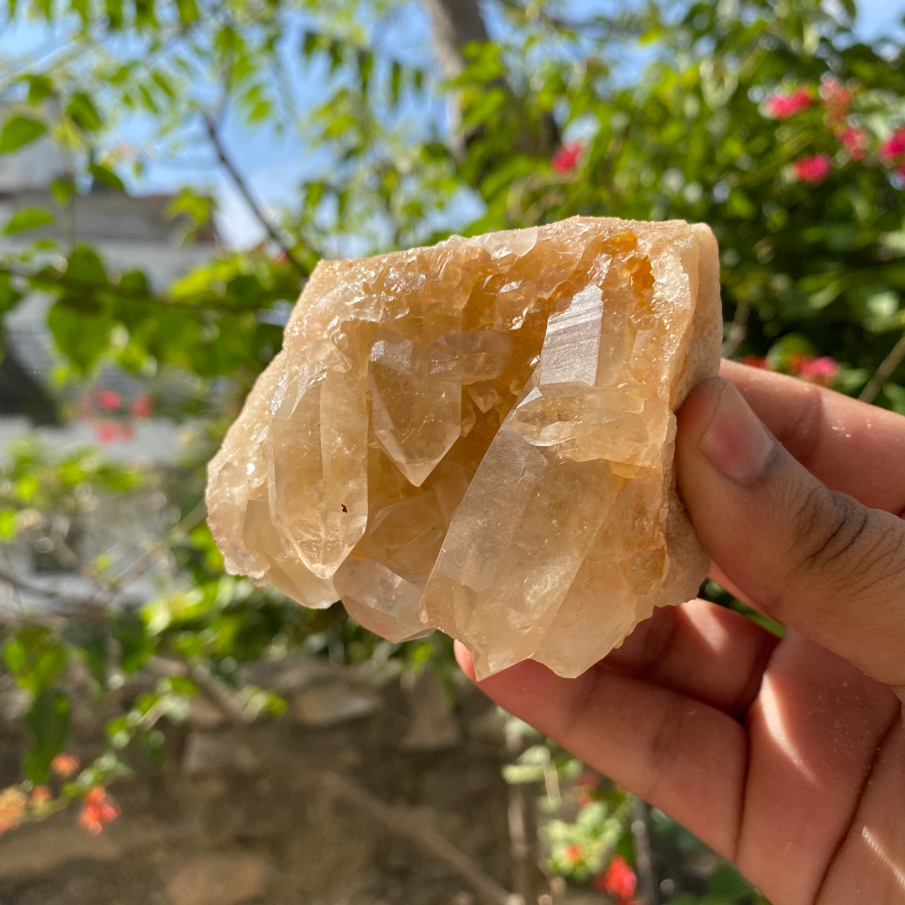 Yellow Himalayan Samadhi Quartz crystal raw cluster from Himalya Quartz, natural healing mineral specimen with vibrant yellow mineral formations.