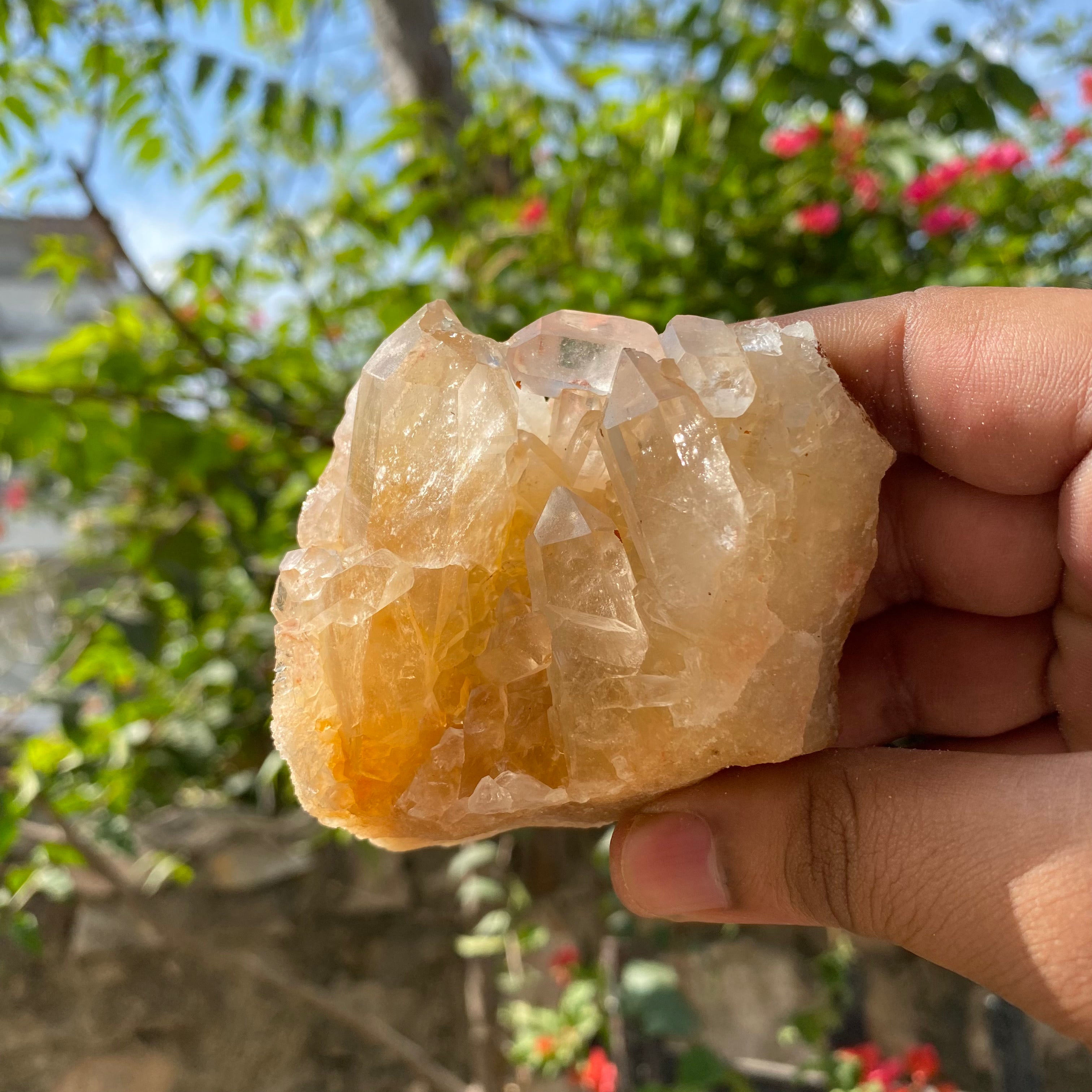 Yellow Himalayan Samadhi Quartz crystal cluster, natural healing mineral specimen from Himalya Quartz with vibrant raw mineral formations.
