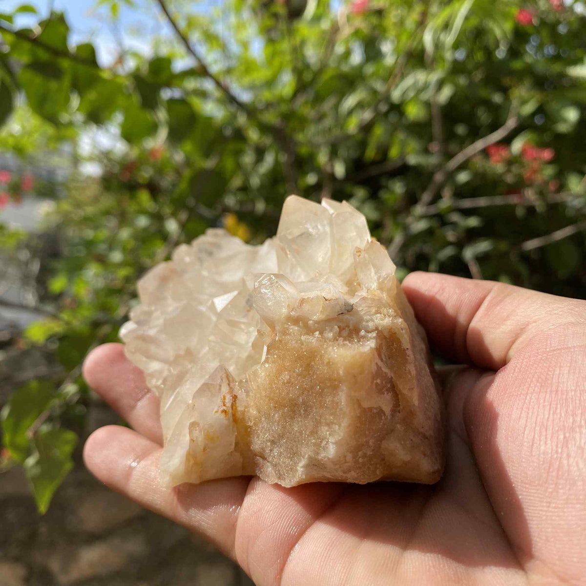 545g Himalayan Yellow Quartz Natural Cluster Mineral Display Specimen