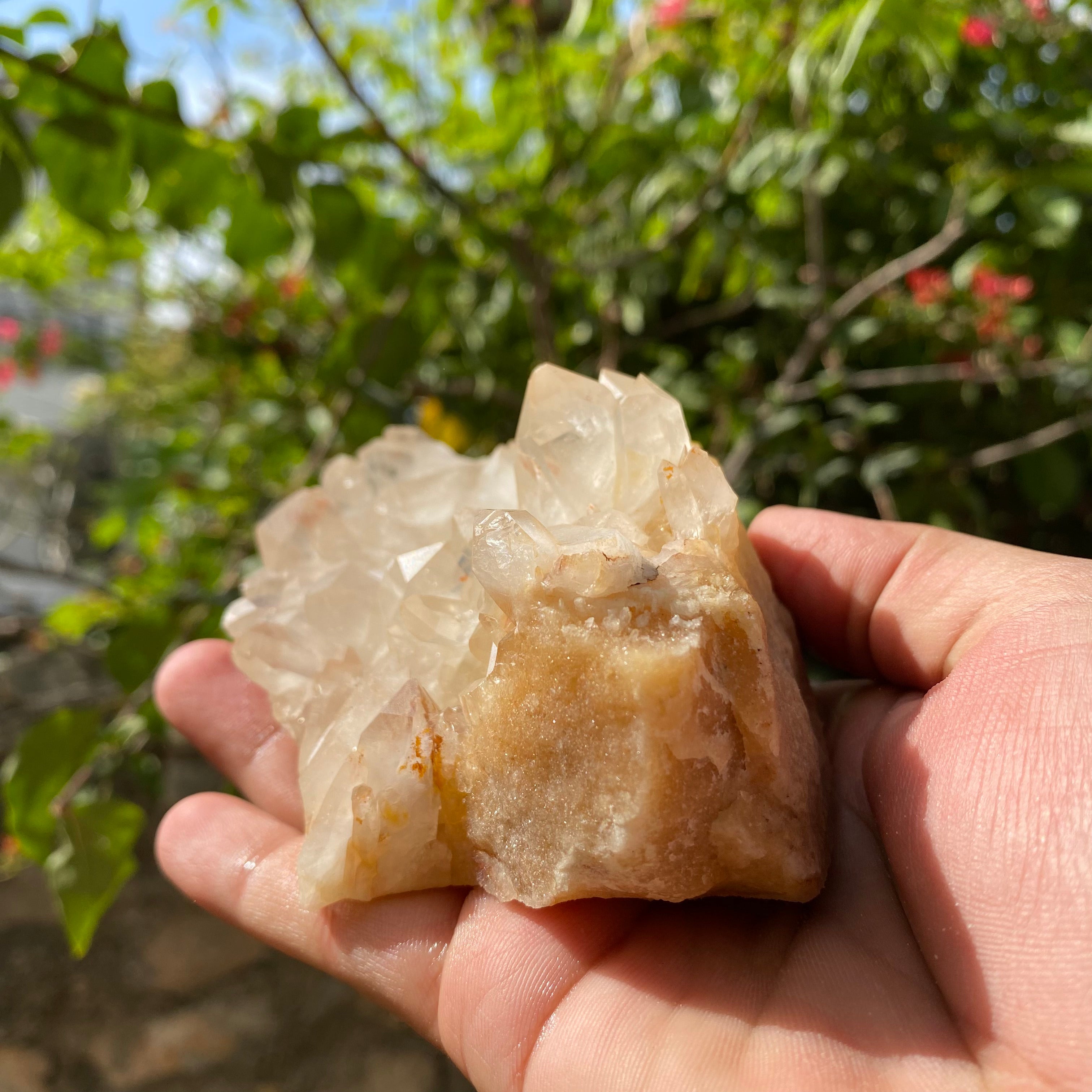 Golden Healer Quartz Cluster: Himalayan Yellow Samadhi Crystal, Home Decor 545gm