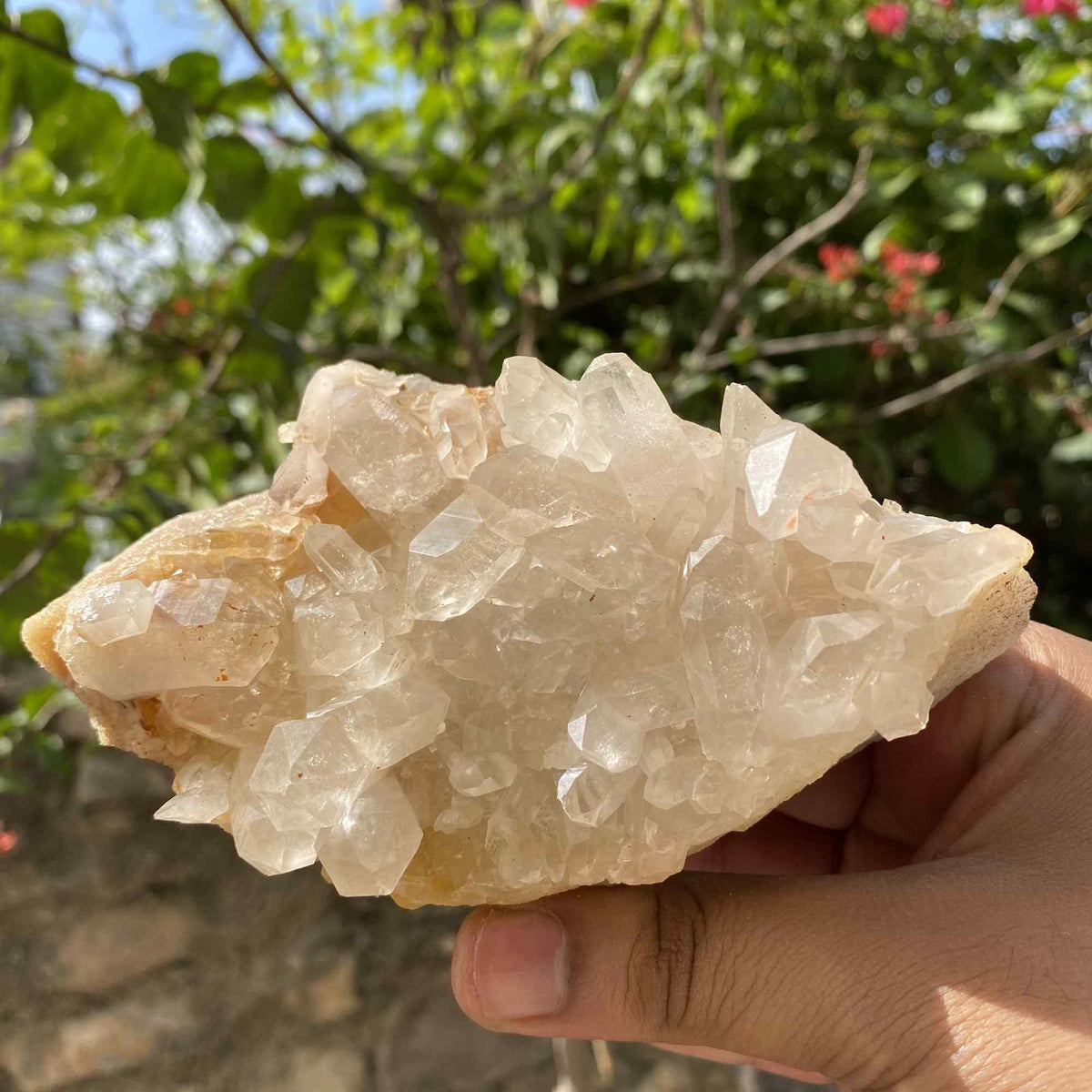 545g Himalayan Yellow Quartz Natural Cluster Mineral Display Specimen