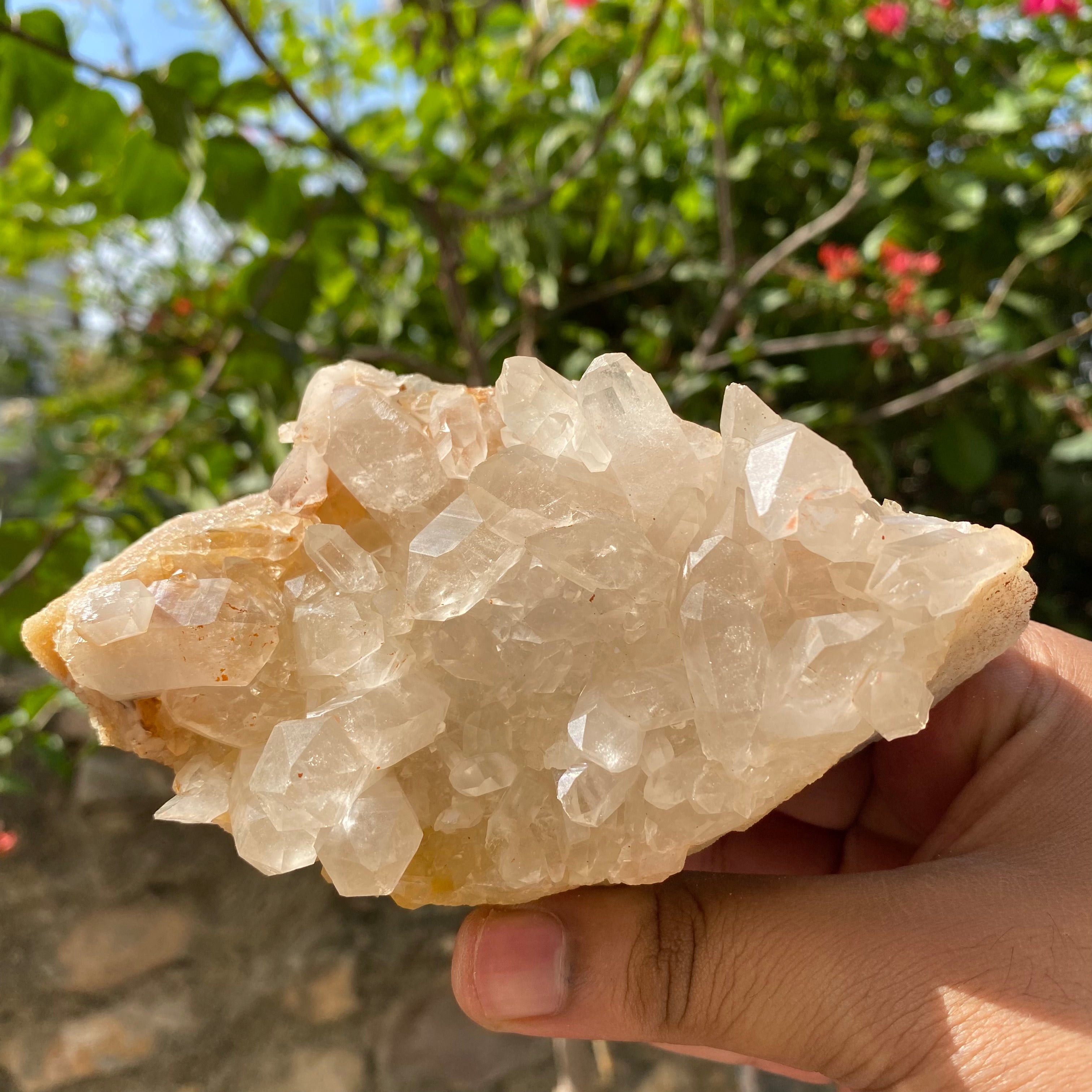Golden Healer Quartz Cluster: Himalayan Yellow Samadhi Crystal, Home Decor 545gm