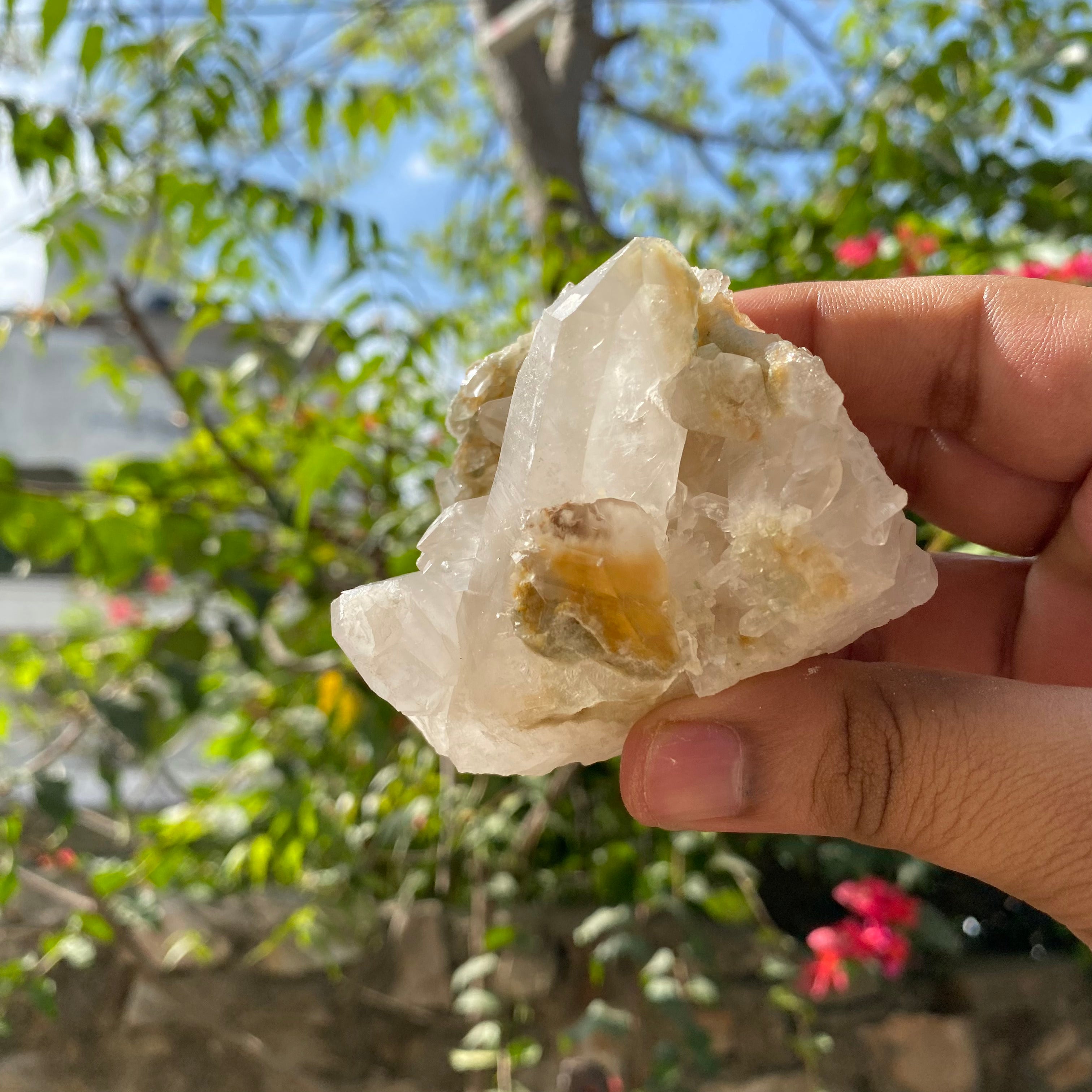 Natural Yellow Samadhi Quartz Cluster Himalayan Crystal Raw Healing Mineral Display