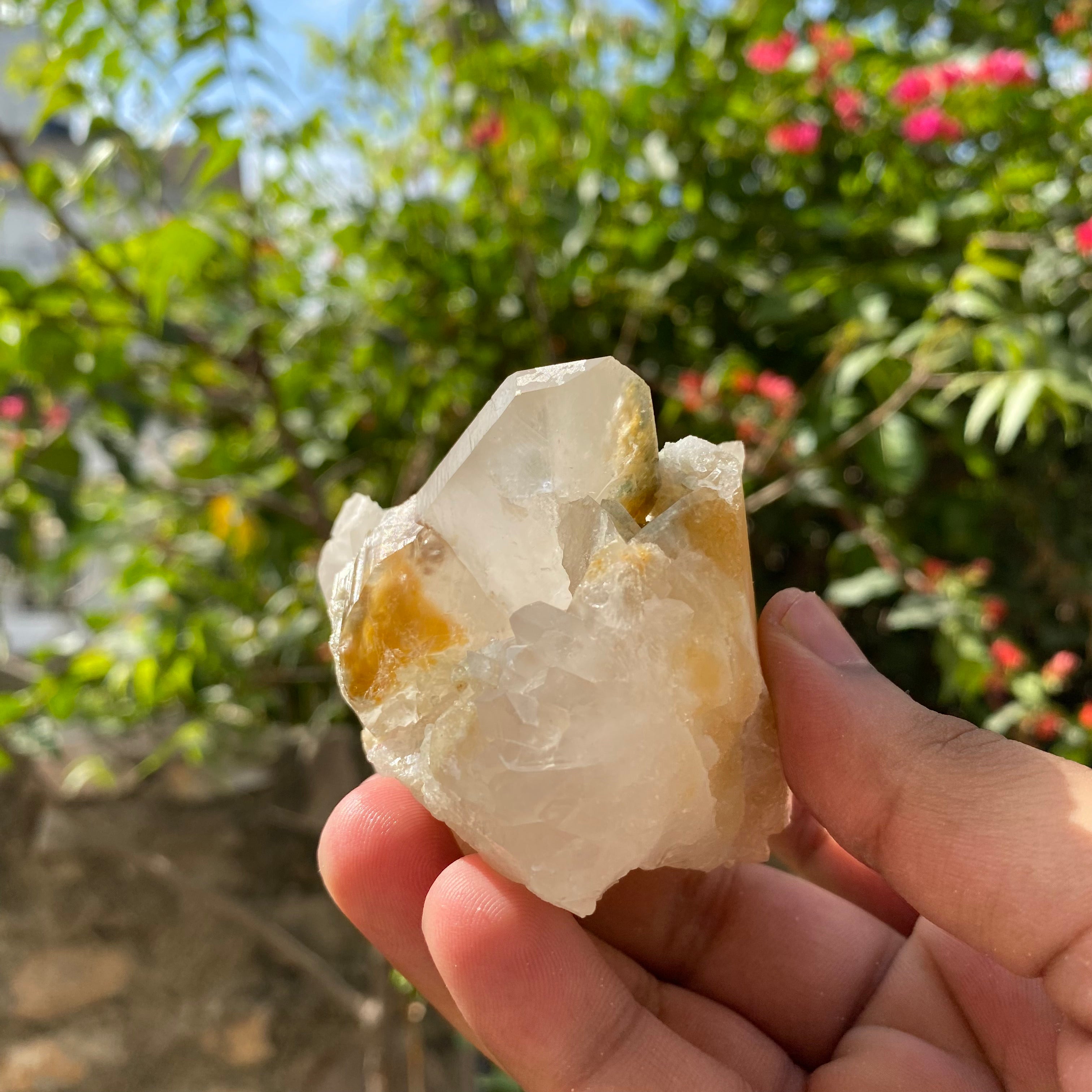 Natural Yellow Samadhi Quartz Cluster Himalayan Crystal Raw Healing Mineral Display