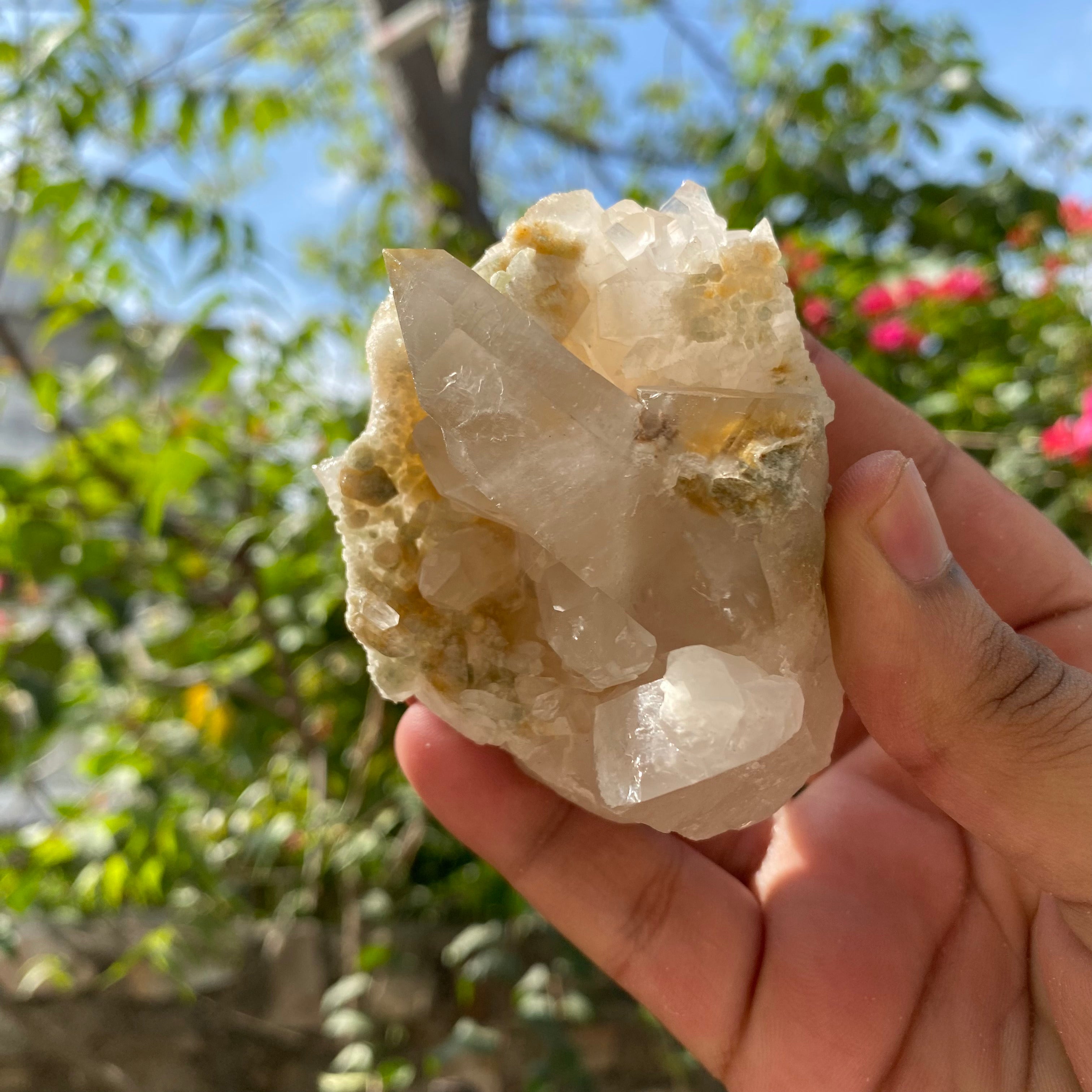 Natural Yellow Samadhi Quartz Cluster Himalayan Crystal Raw Healing Mineral Display