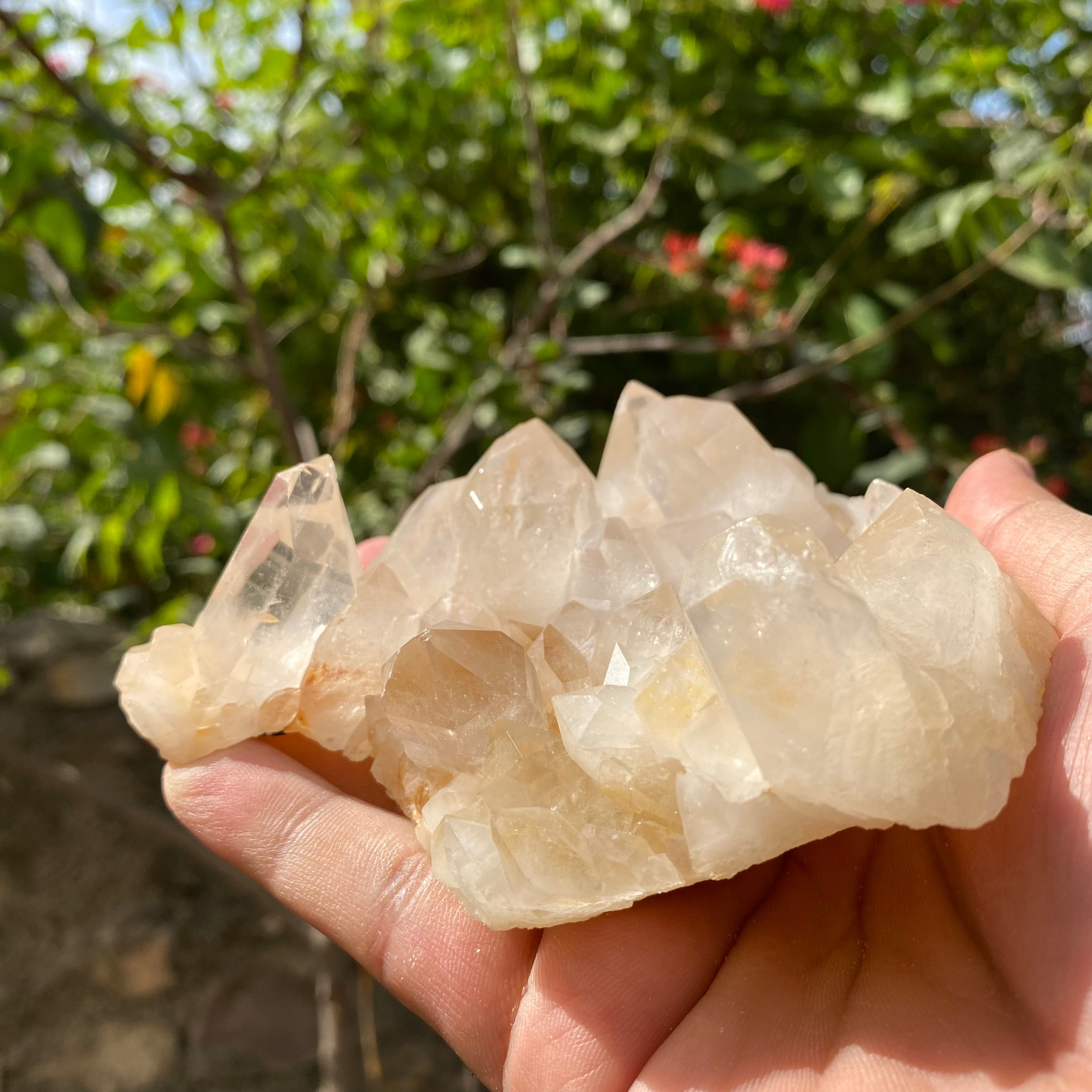 Natural yellow Himalayan quartz crystal, 455g Golden Healer Samadhi rough stone from Himalya Quartz, showcasing its vibrant yellow hue.
