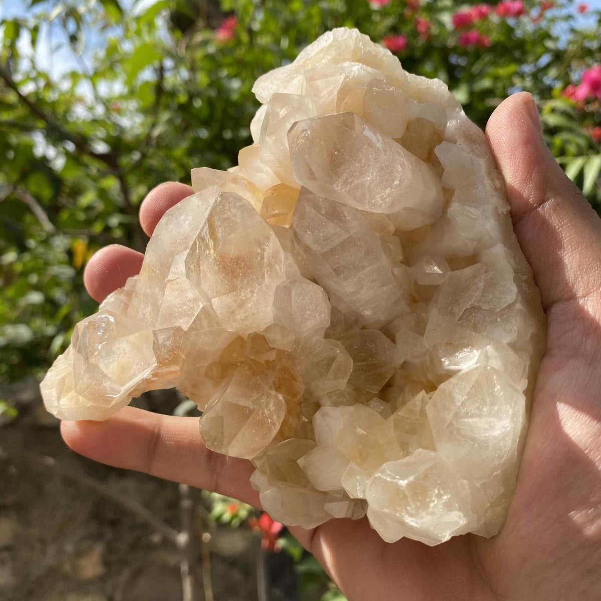 Natural yellow Himalayan Quartz crystal, 455g Golden Healer Samadhi rough stone from Himalya Quartz, showcasing its vibrant yellow color.