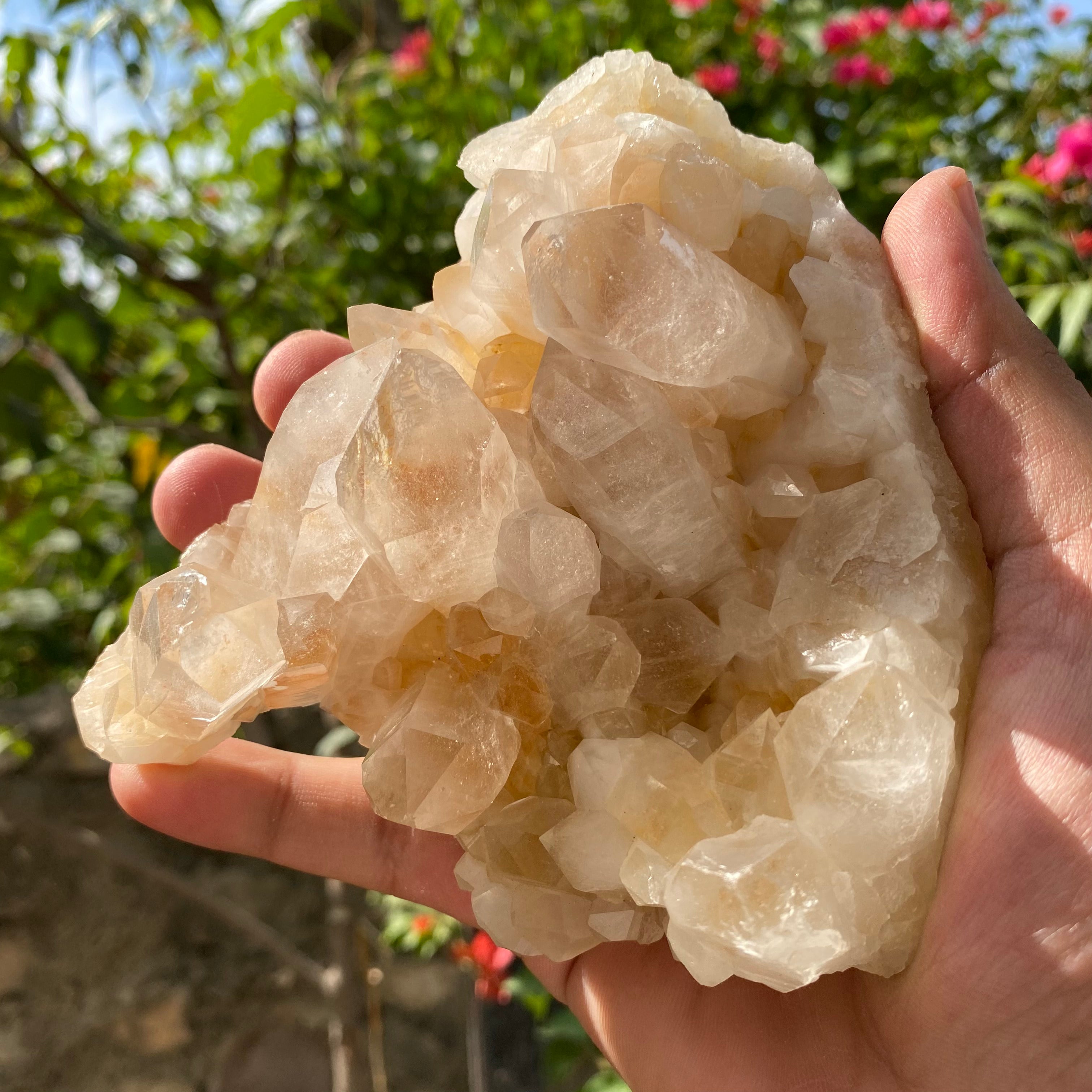 Natural yellow Himalayan Quartz crystal, 455g Golden Healer Samadhi rough stone from Himalya Quartz, showcasing its vibrant yellow color.