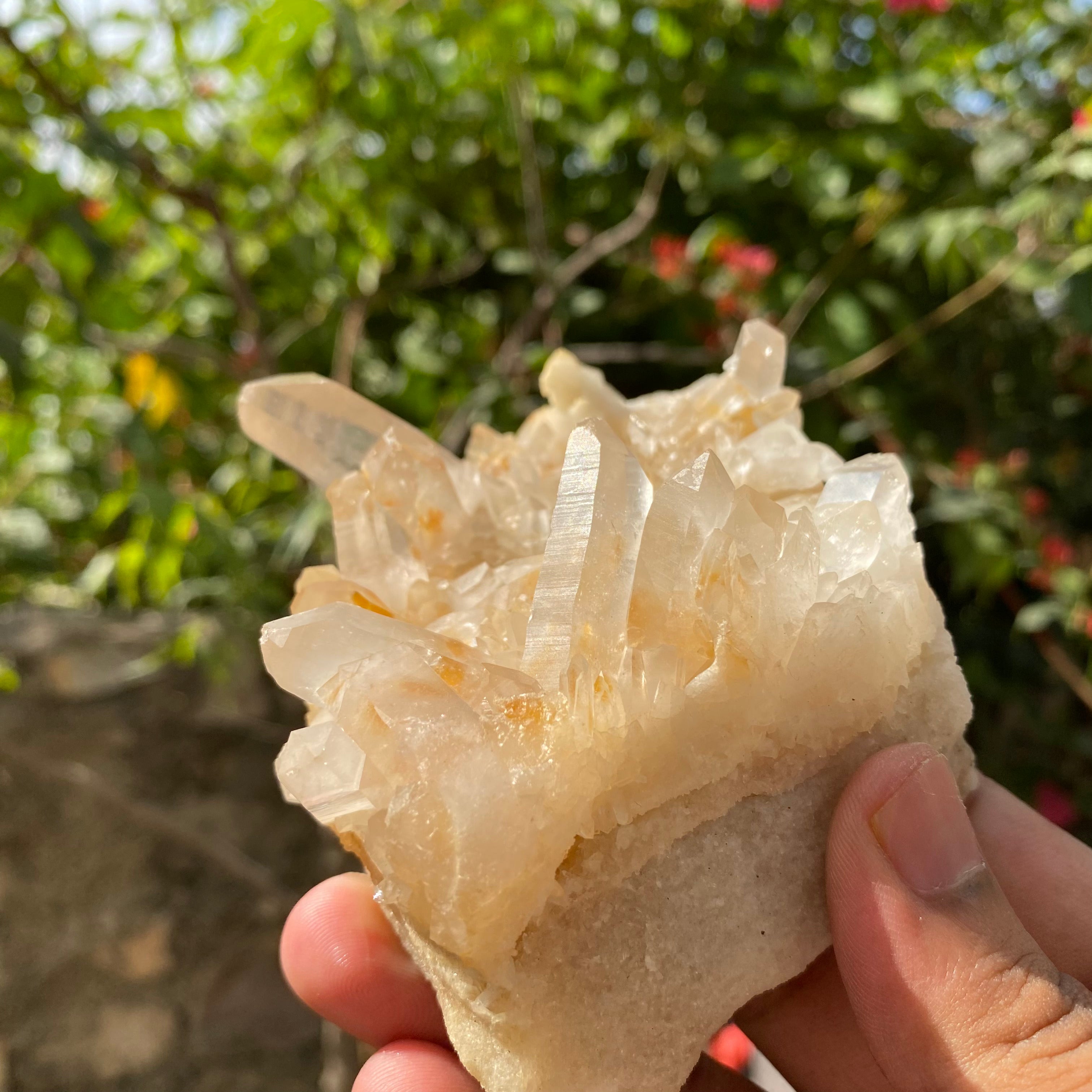 Natural Himalayan Yellow Samadhi Quartz Crystal Raw Cluster Healing Energy Collector