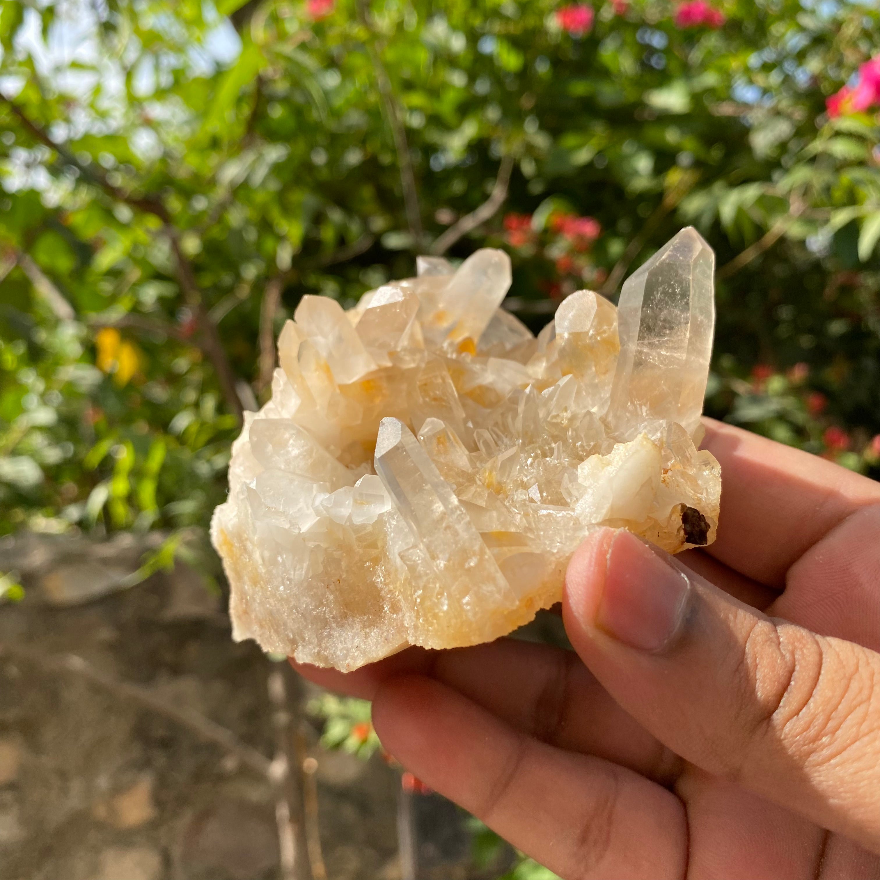 Natural Himalayan Yellow Samadhi Quartz Crystal Raw Cluster Healing Energy Collector