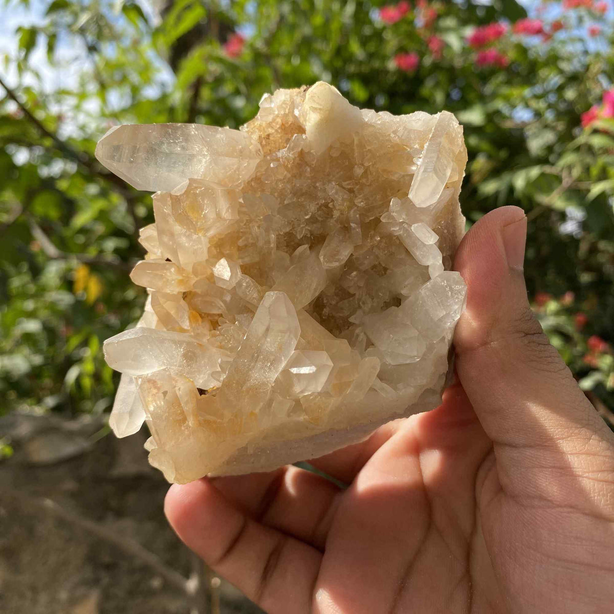 340g Natural Yellow Himalayan Quartz Cluster Display Mineral Specimen