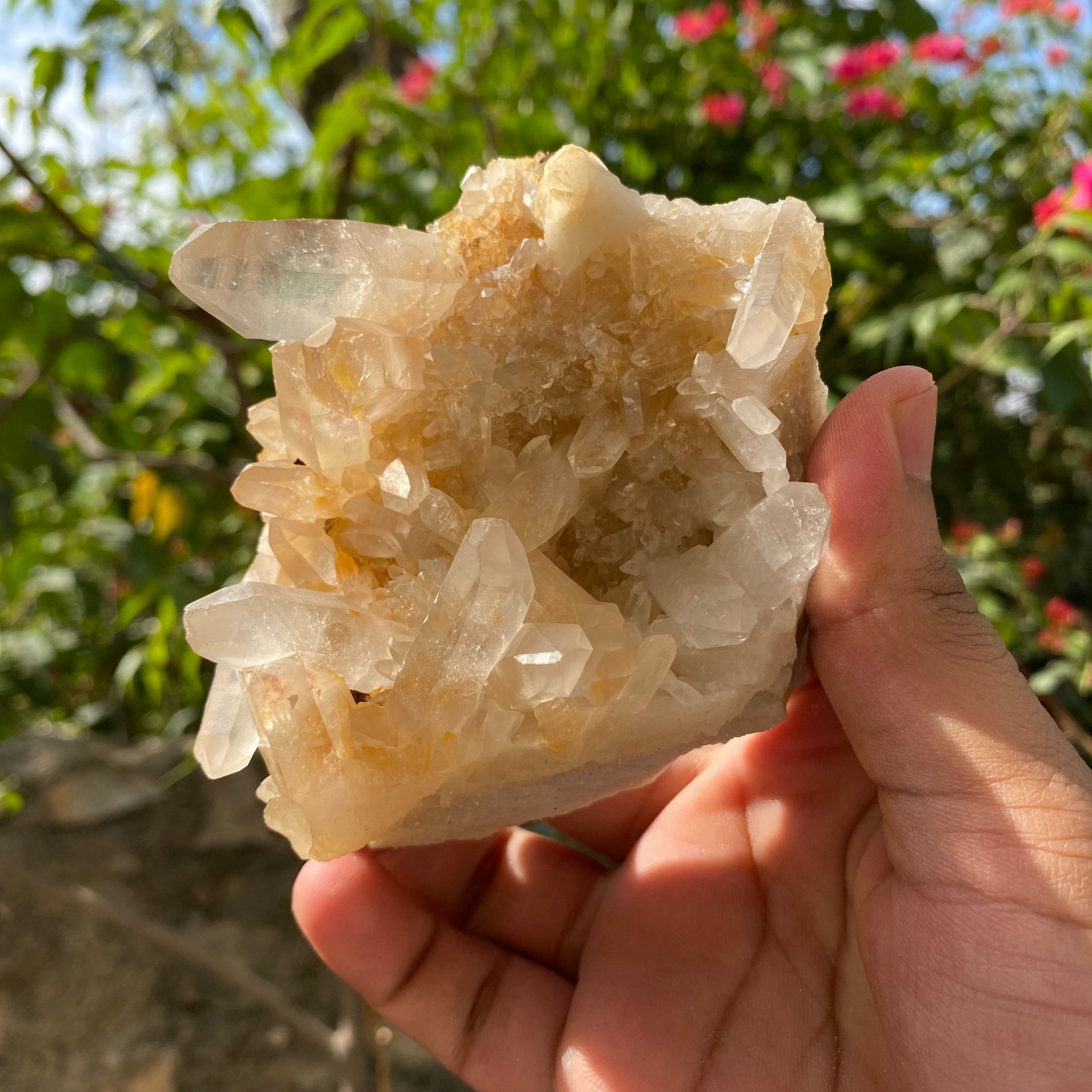 Natural Himalayan Yellow Samadhi Quartz Crystal Raw Cluster Healing Energy Collector