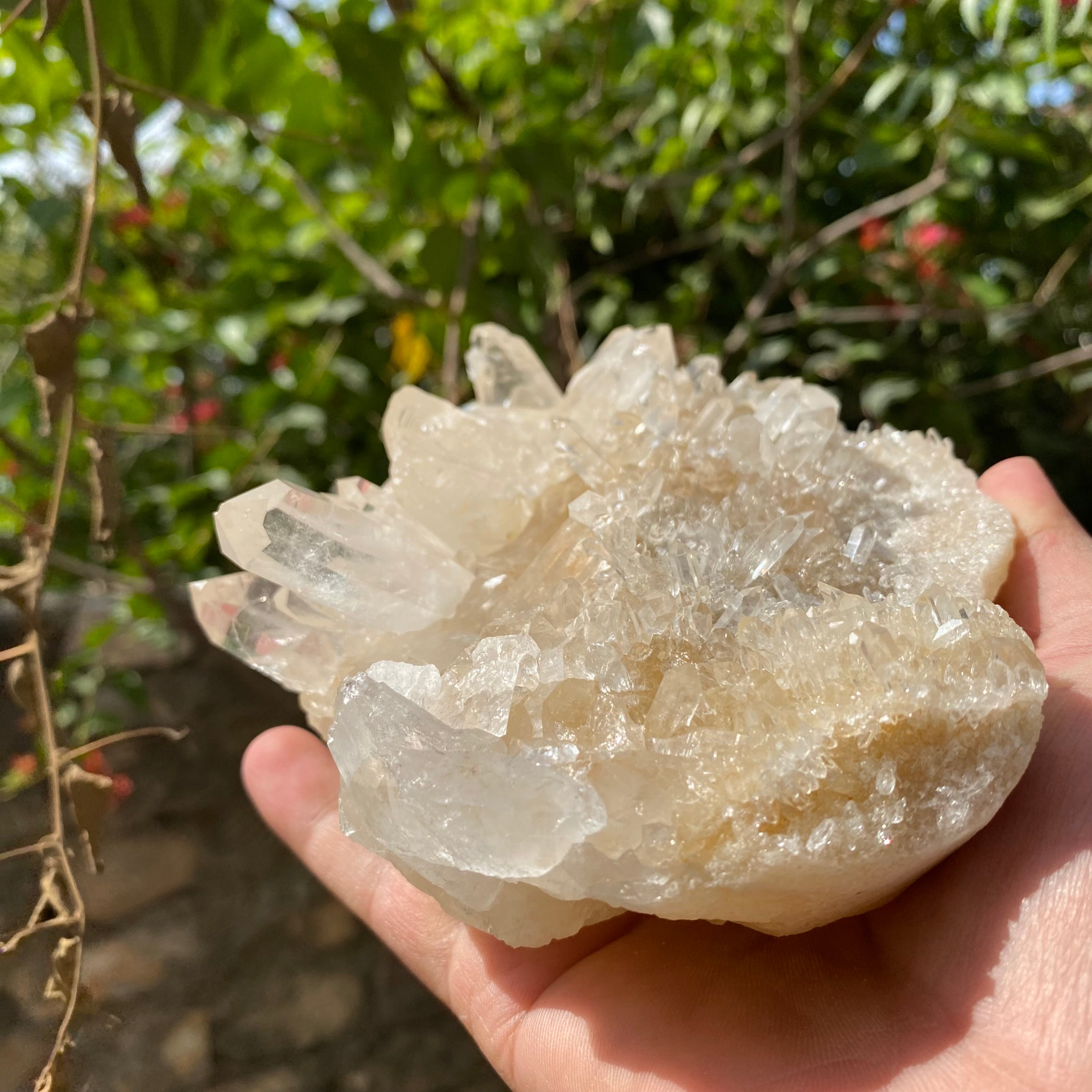 Large Yellow Quartz Crystal Cluster 1015g Natural Himalayan Raw Mineral Specimen Healing Stone Statement Décor