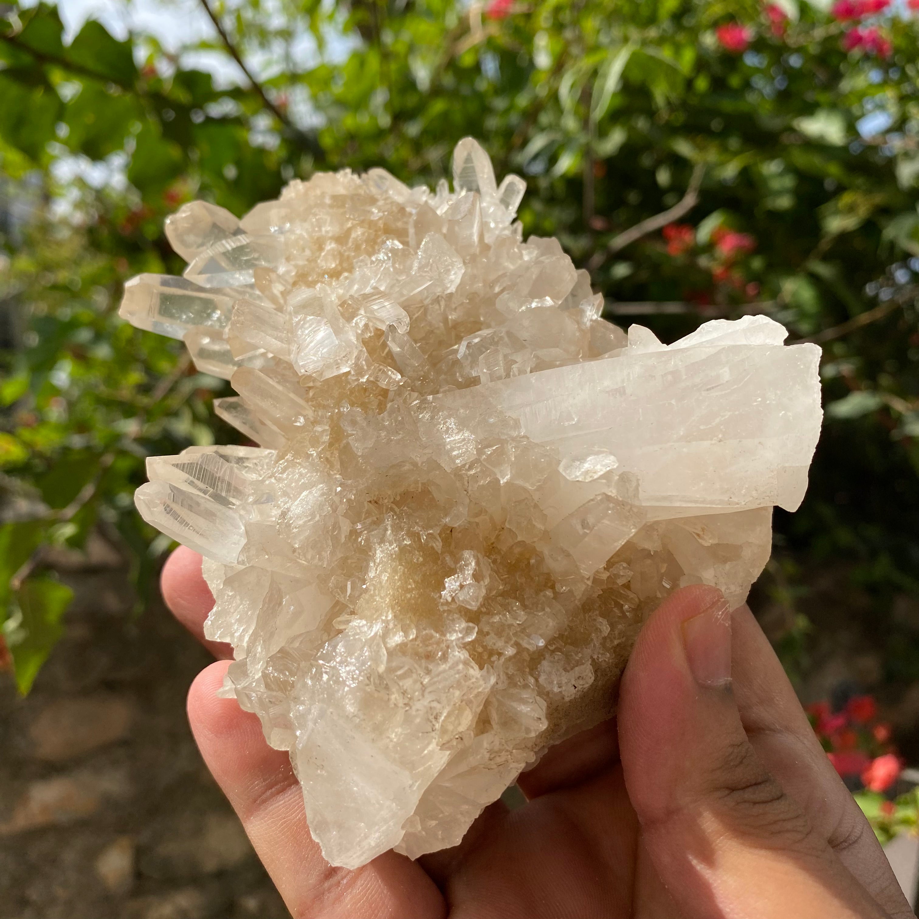 Yellow Samadhi Quartz Crystal: Raw Healing Crystal Minerals