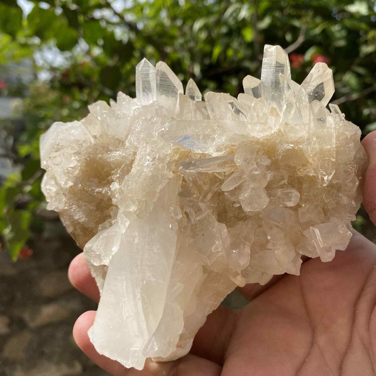 Natural Yellow Himalayan Quartz Raw Cluster Mineral Display Piece