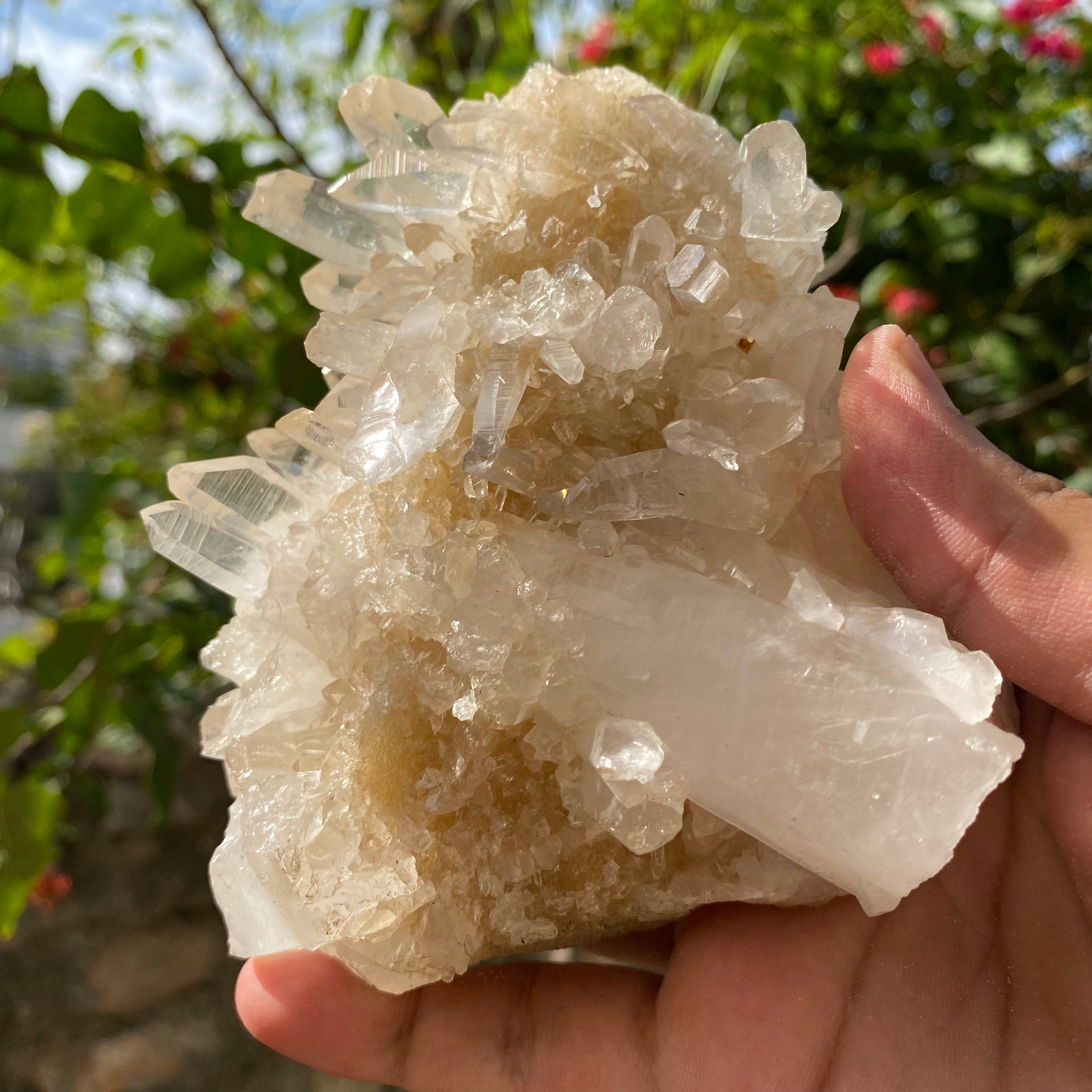 Yellow Samadhi Quartz Crystal: Raw Healing Crystal Minerals
