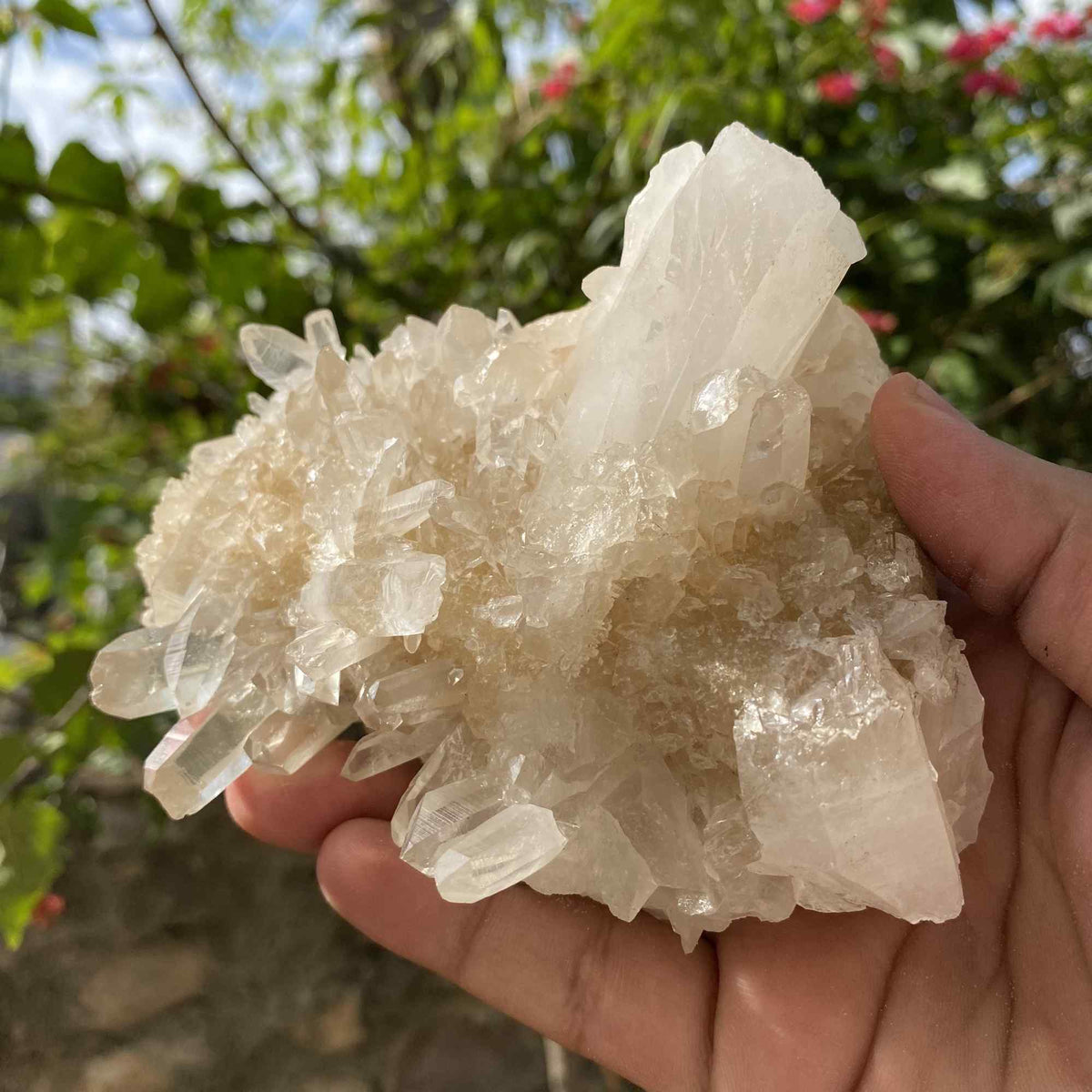 Natural Yellow Himalayan Quartz Raw Cluster Mineral Display Piece