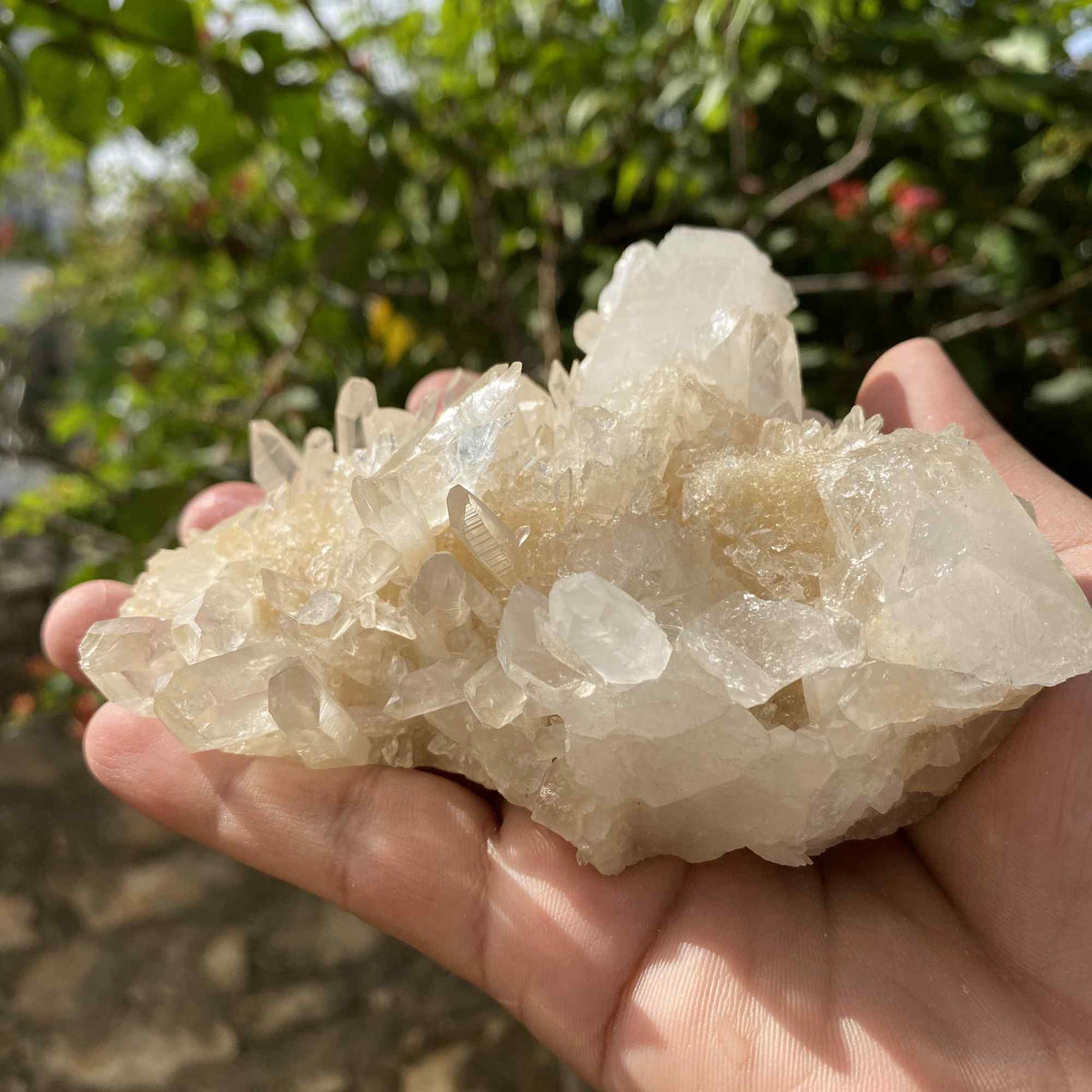 Natural Yellow Himalayan Quartz Raw Cluster Mineral Display Piece