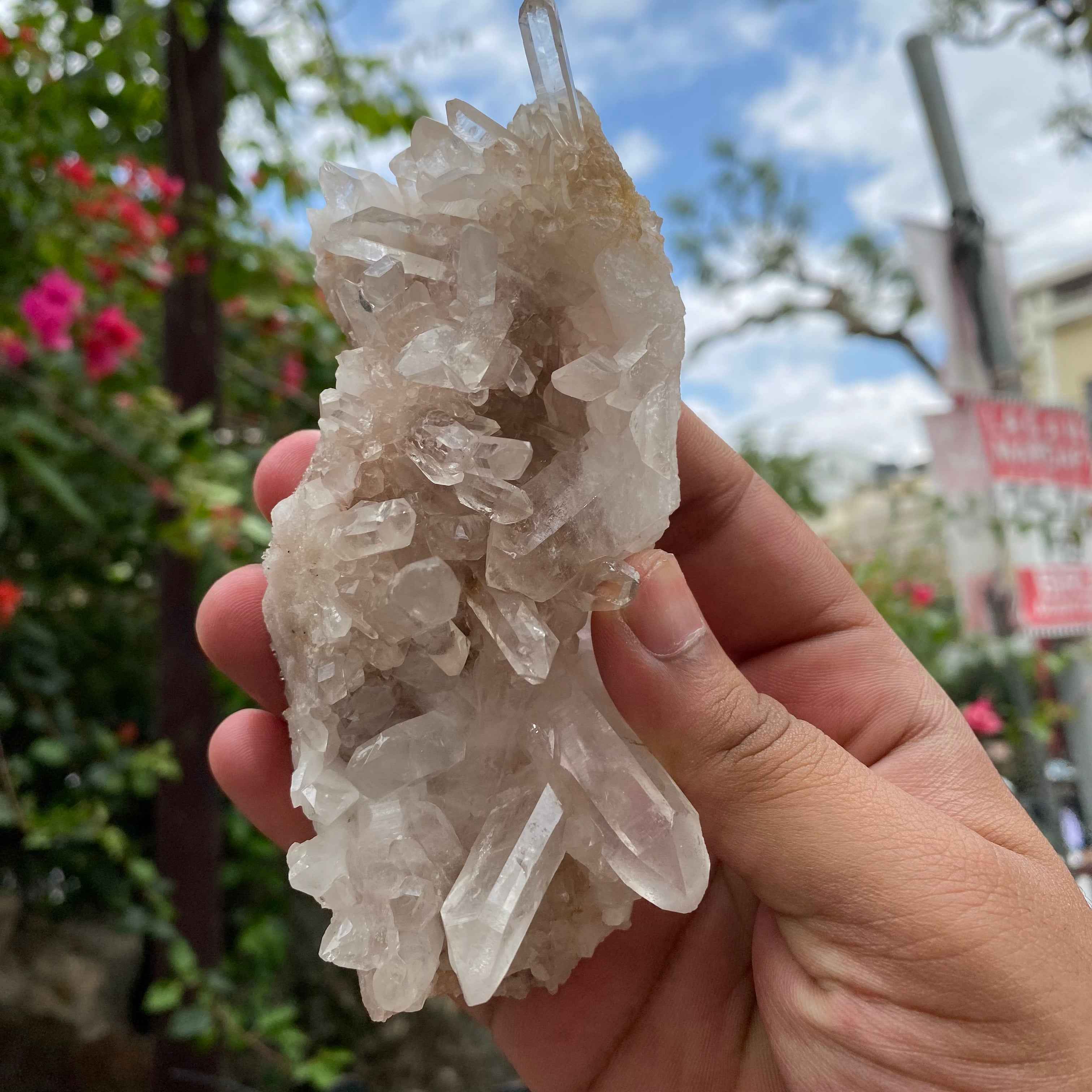 Natural Himalayan Pink Samadhi Quartz Crystal Cluster Raw Display Himalayan Healing Energy