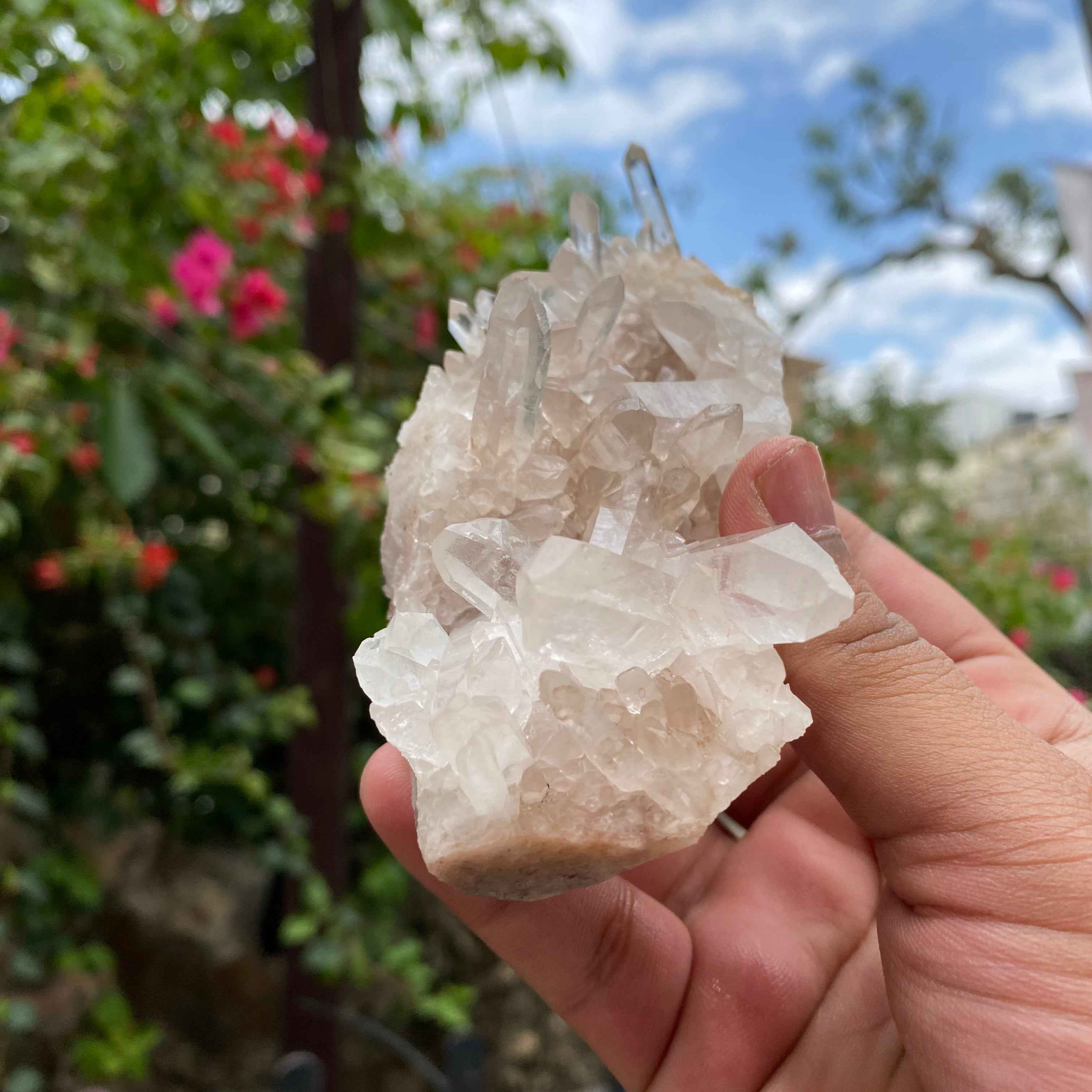 Natural Himalayan Pink Samadhi Quartz Crystal Cluster Raw Display Himalayan Healing Energy